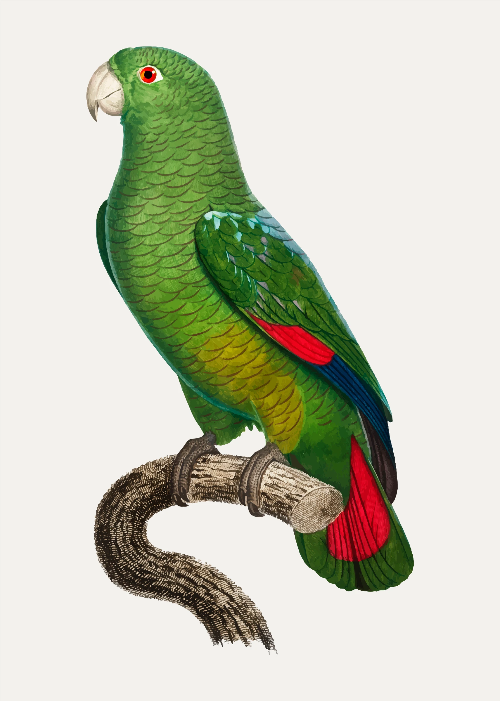 animals (290)