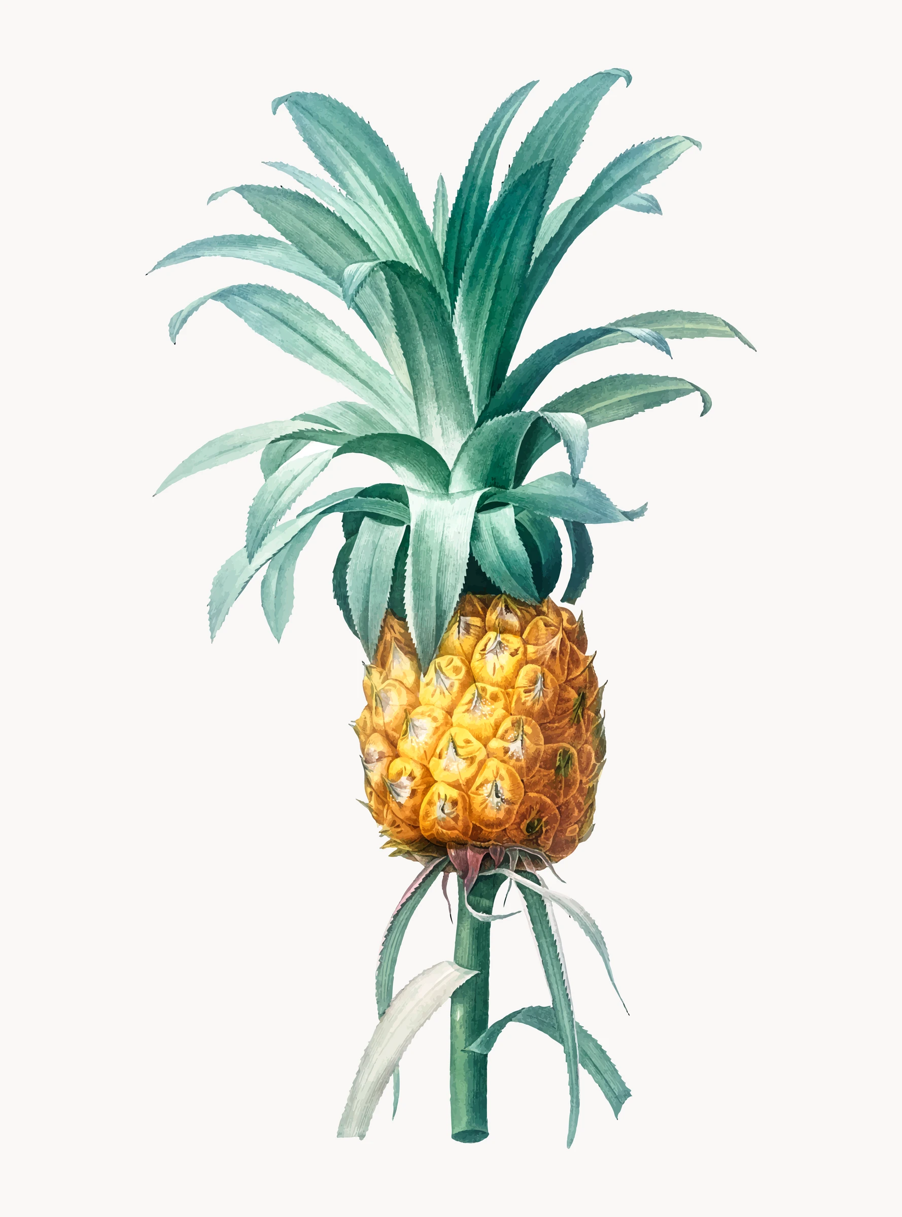 fruitss (235)