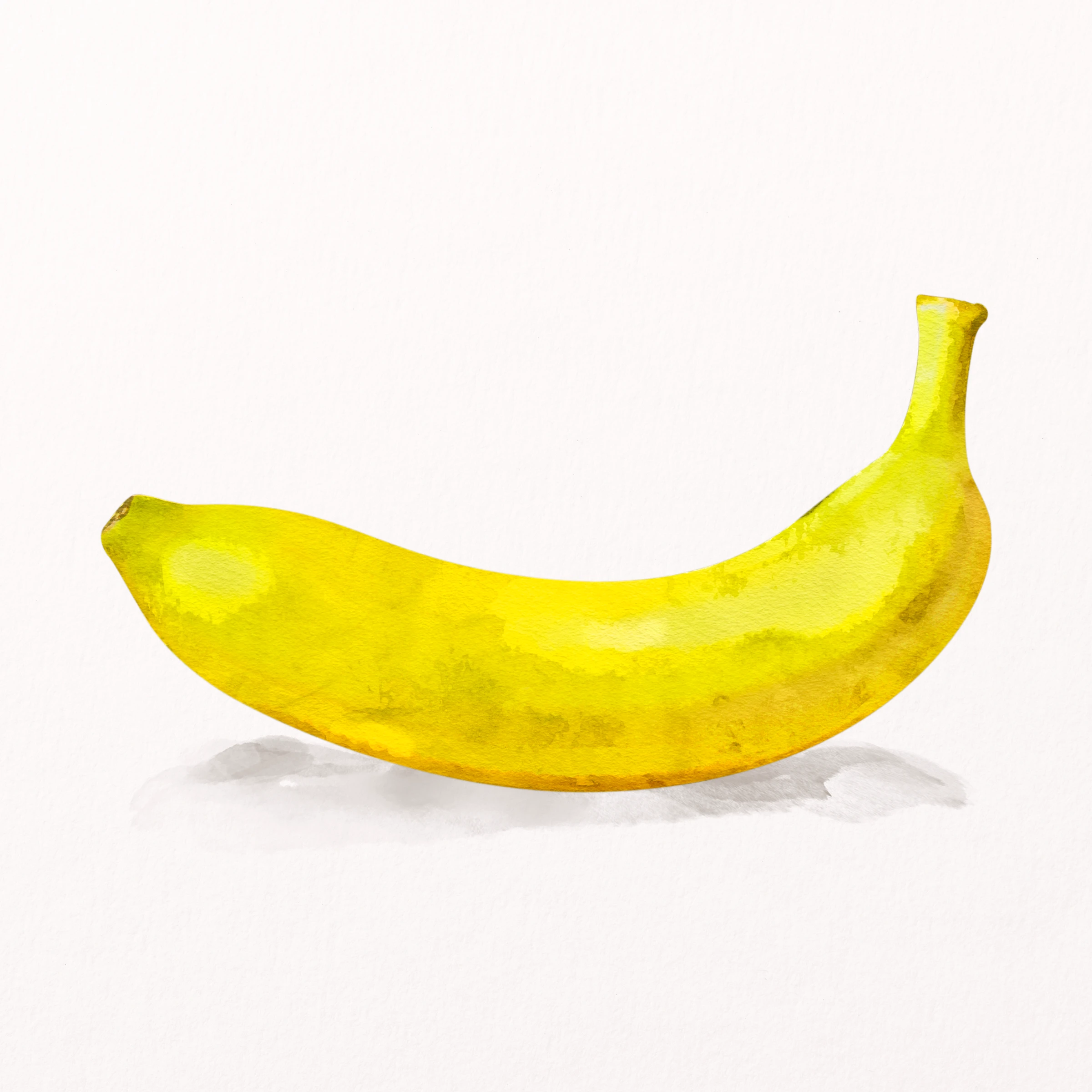 fruitss (101)