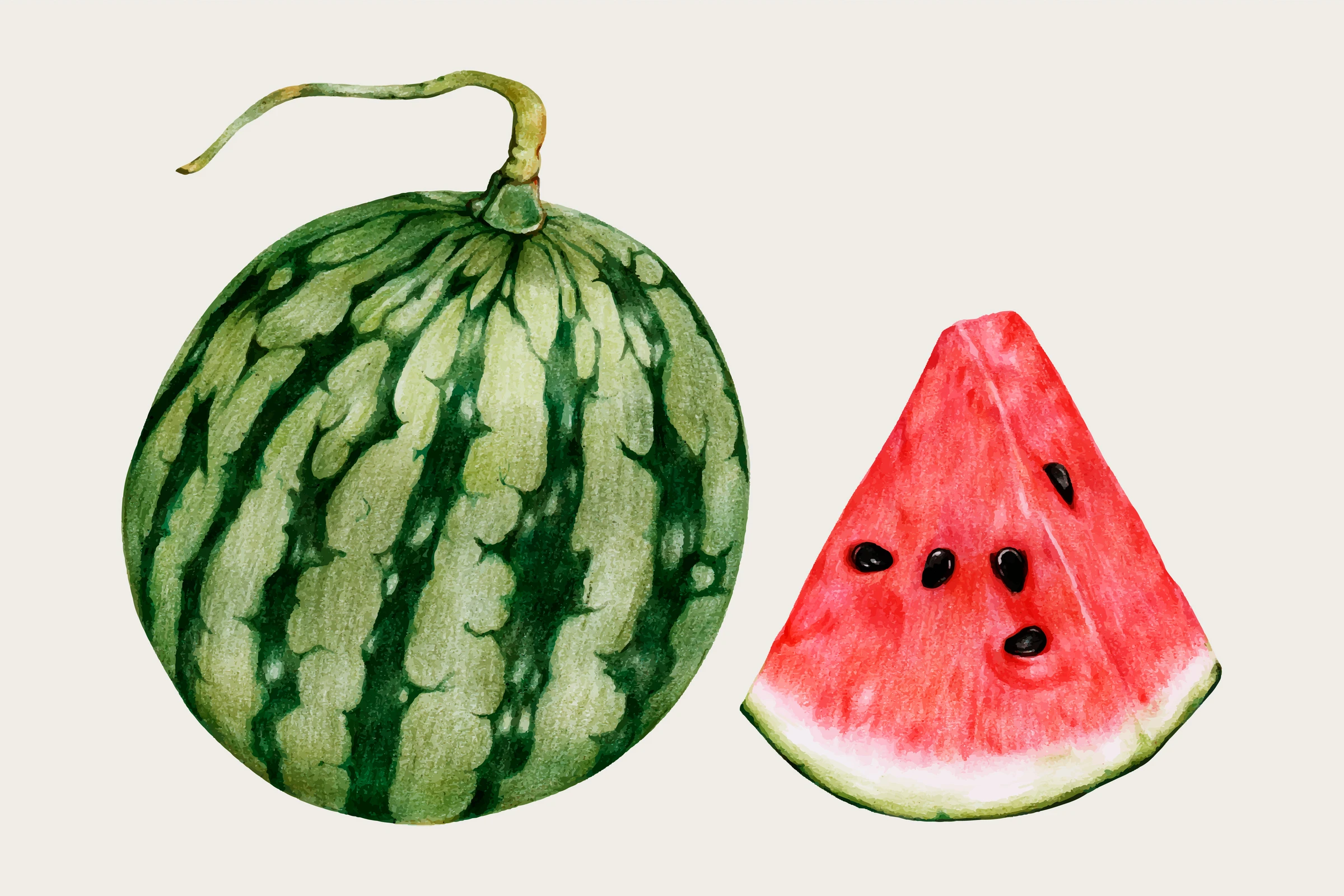 fruits474