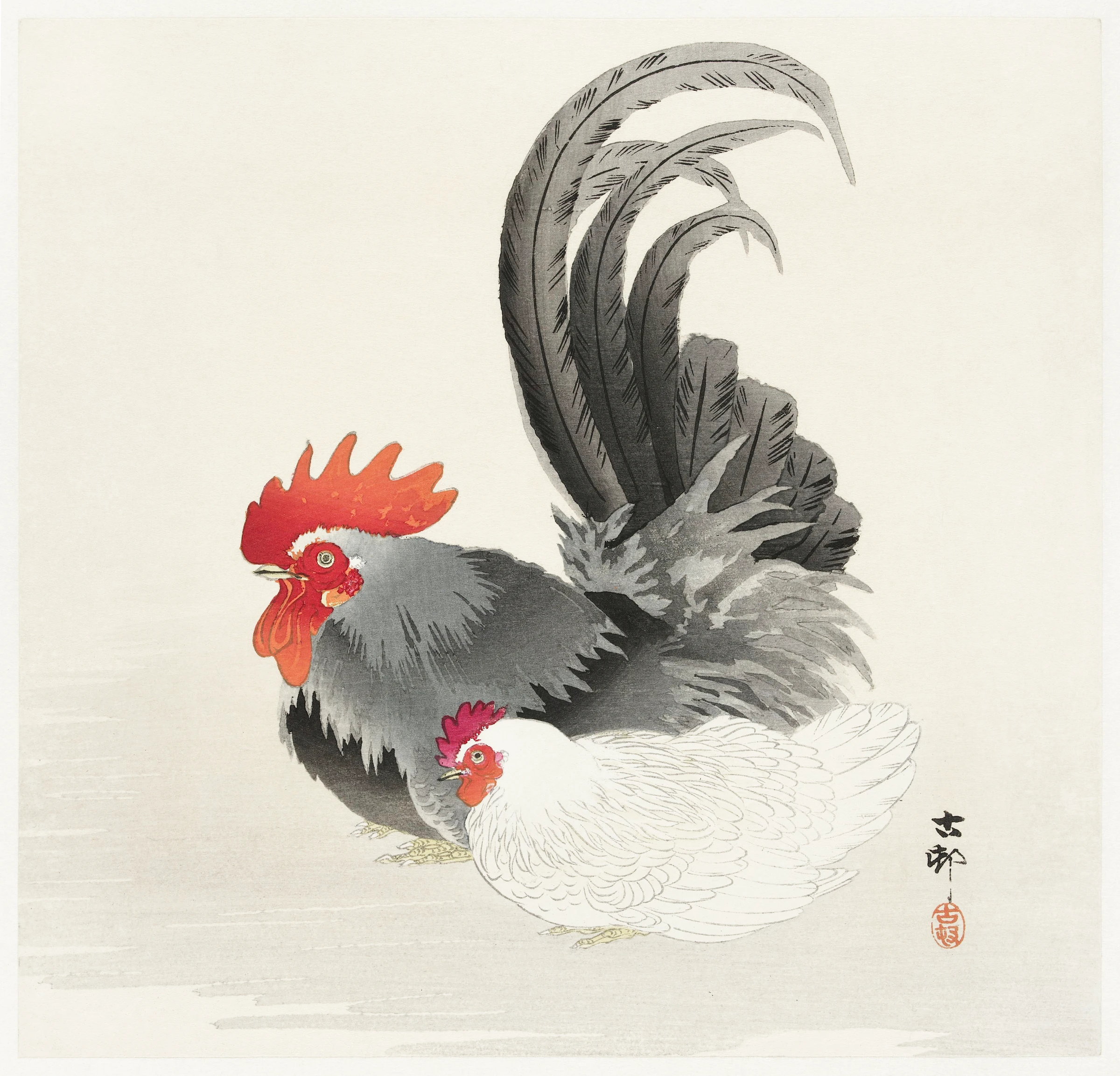 animals (194)