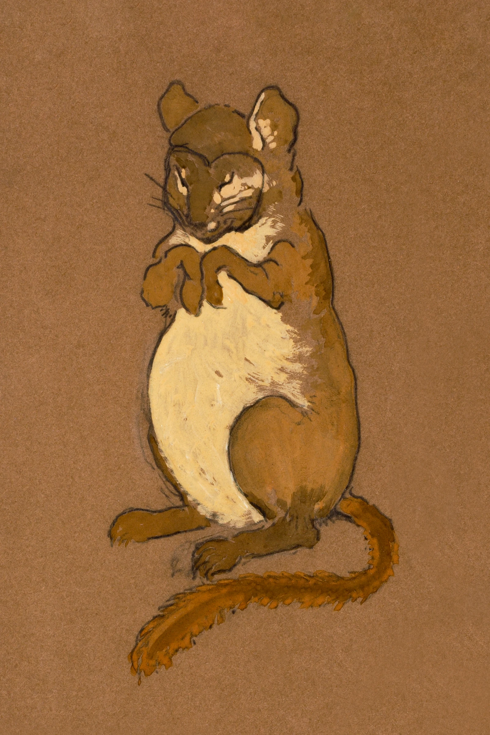 animals (19)