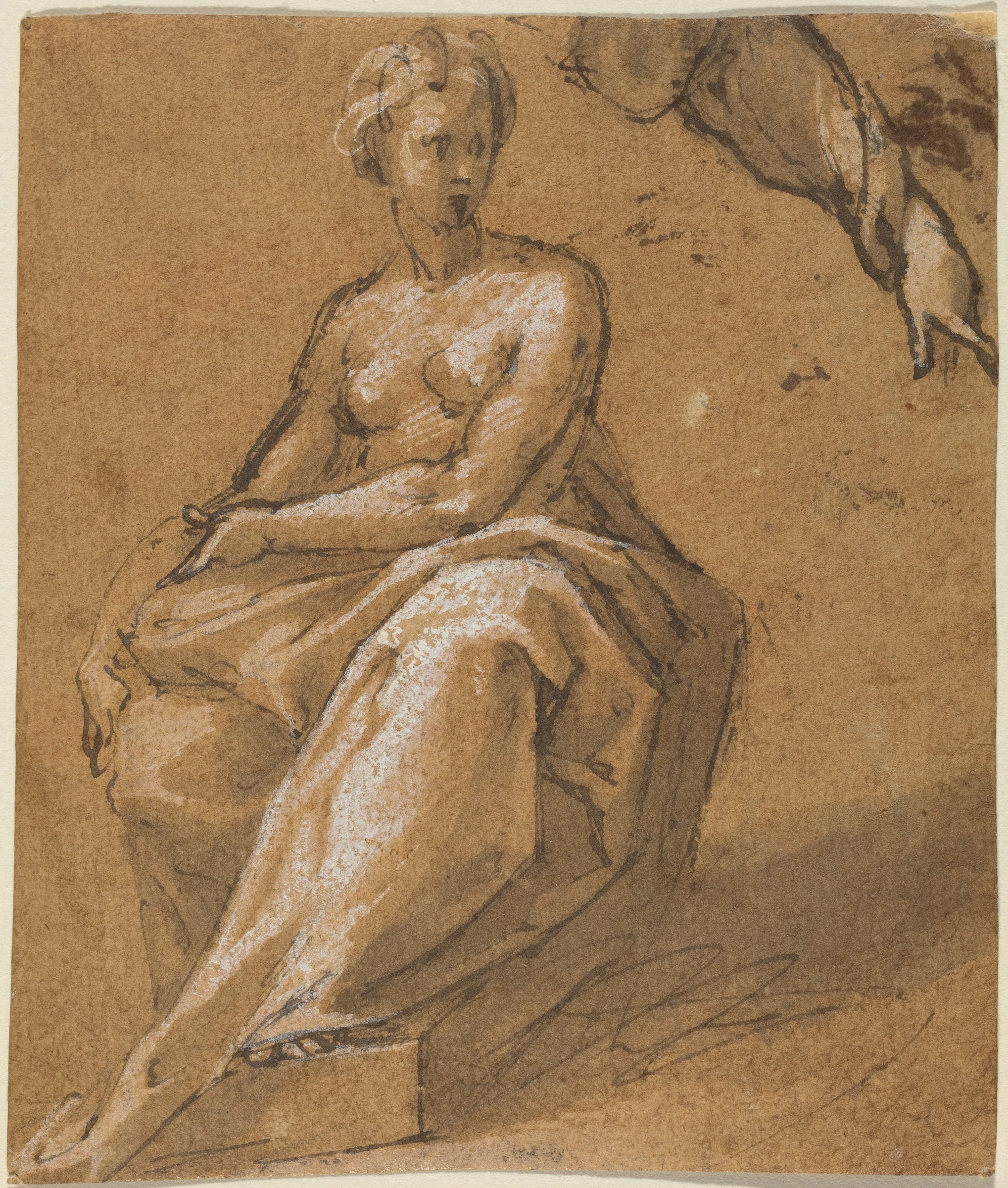 seated nude with drapery 1973.25.1