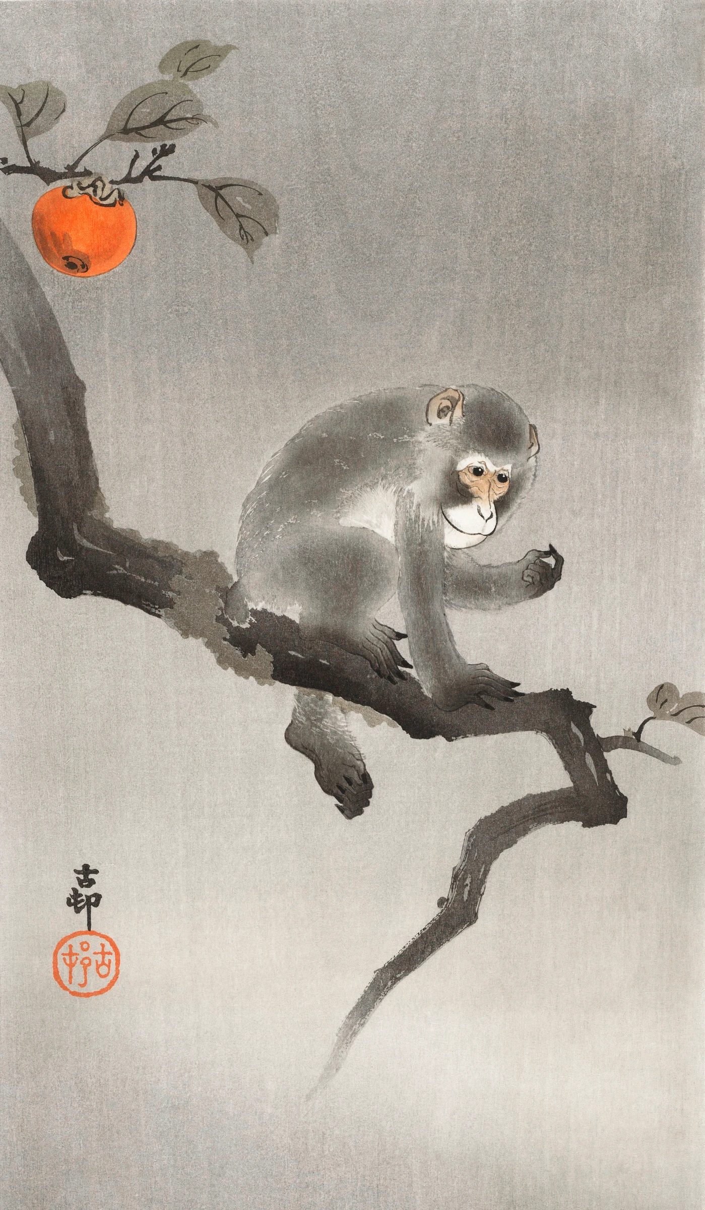 animals (203)