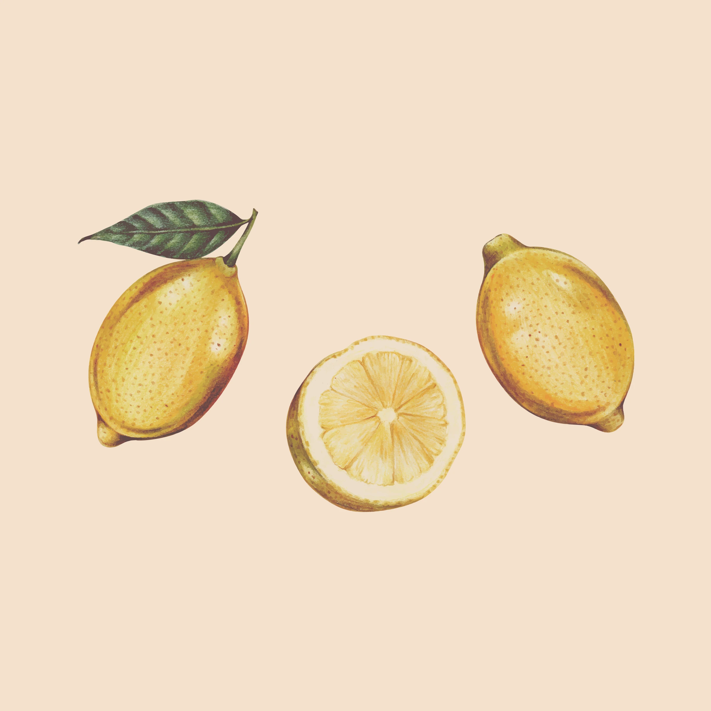 fruitss (180)
