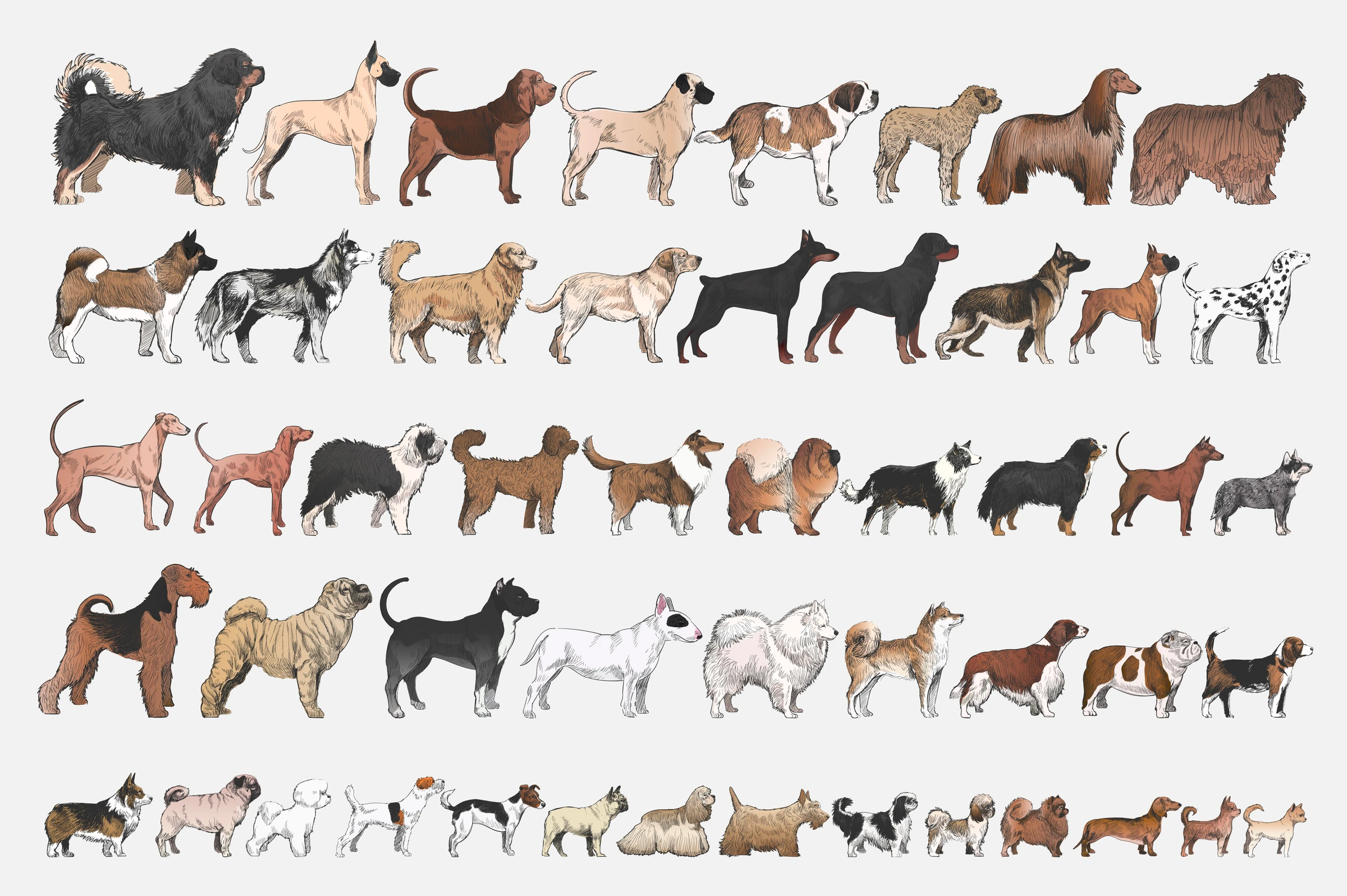 animals (132)