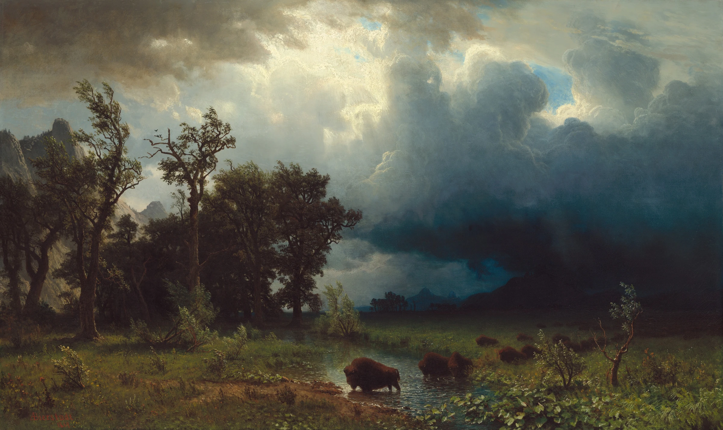 Buffalo Trail The Impending Storm 2014.79.3