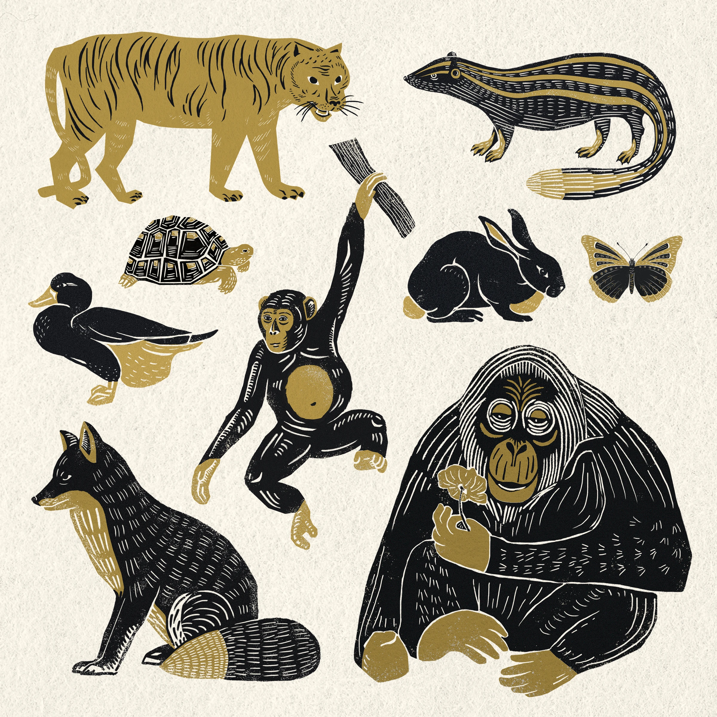 animals (10)