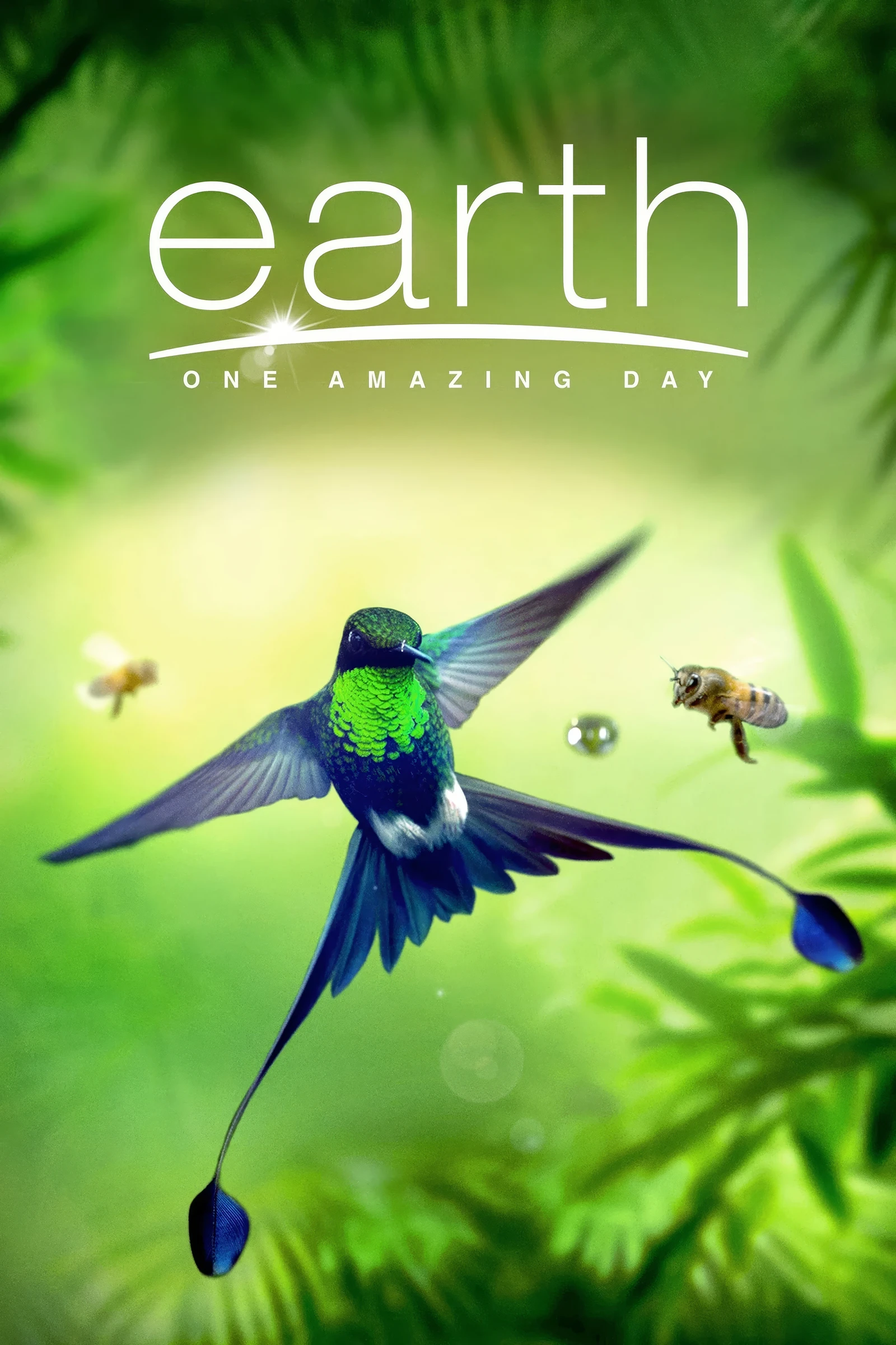 Earth One Amazing Day (2017)