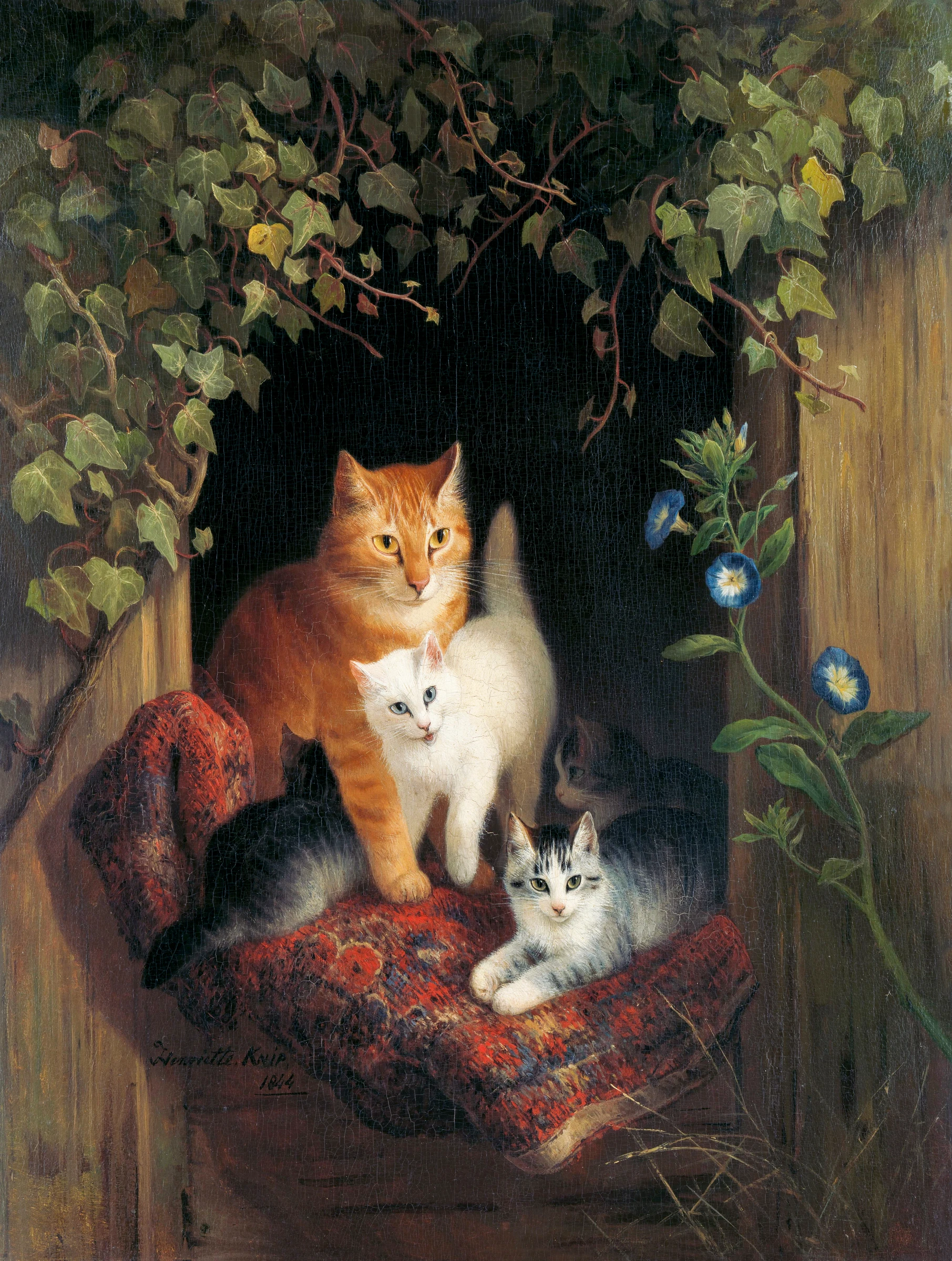 animals (11)