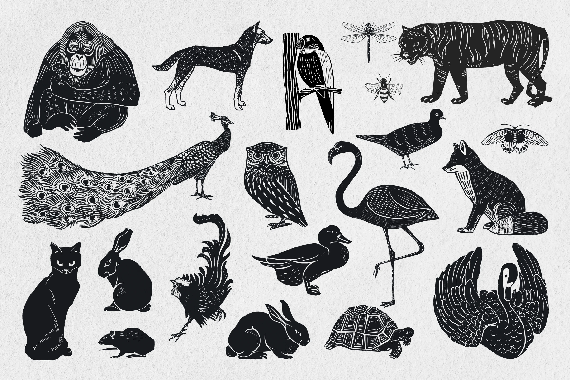 animals (8)