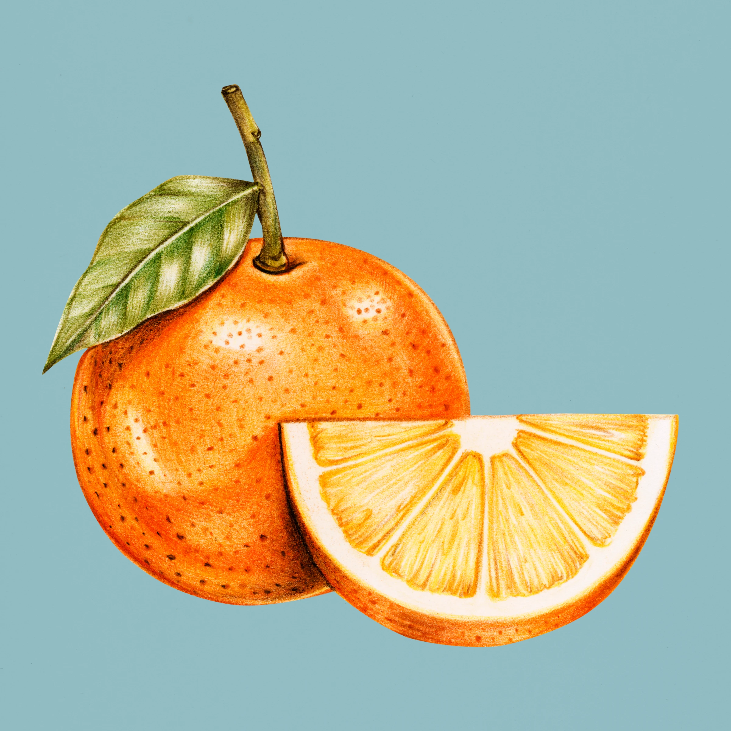 fruits491