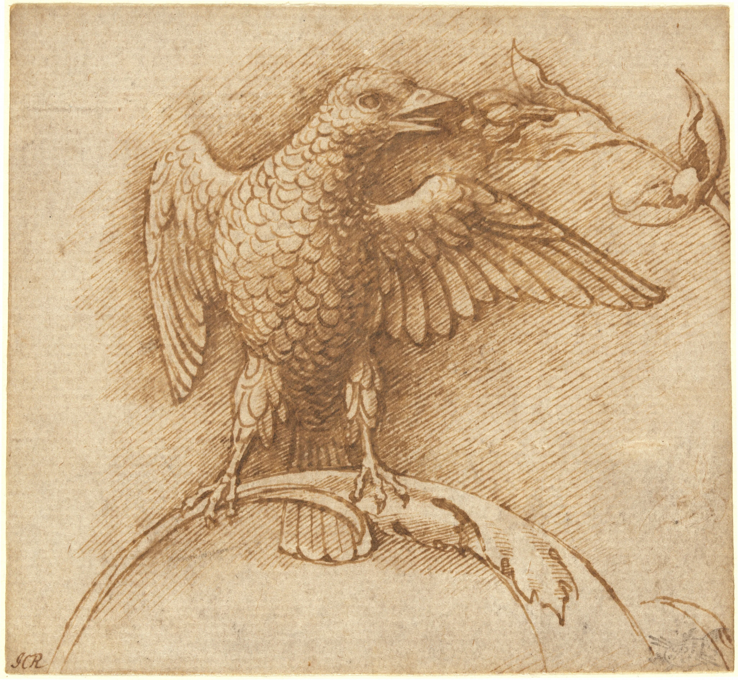 a bird perched on a branch with fruit 1976.33.1