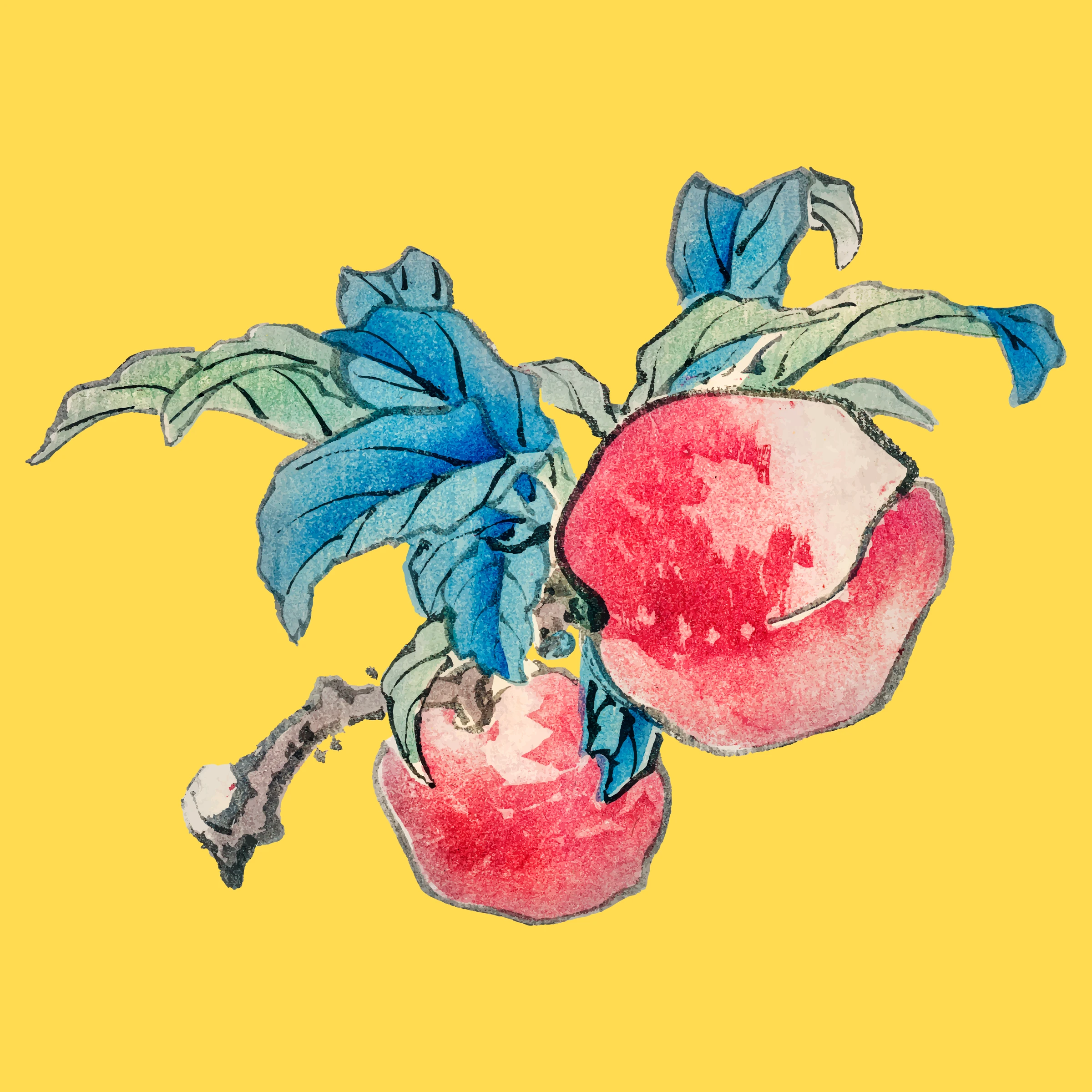 fruits462