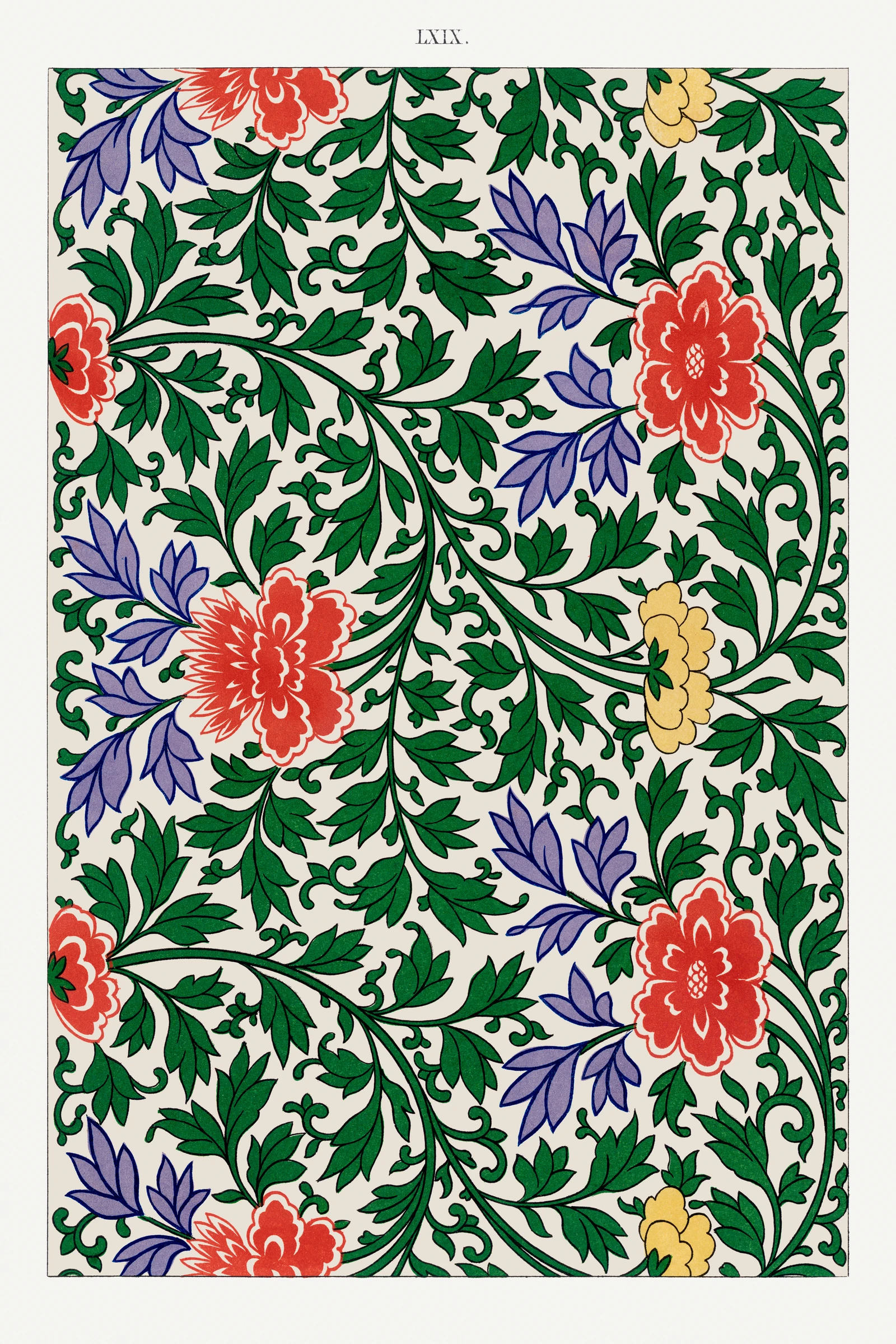 Trendy Prints (365)