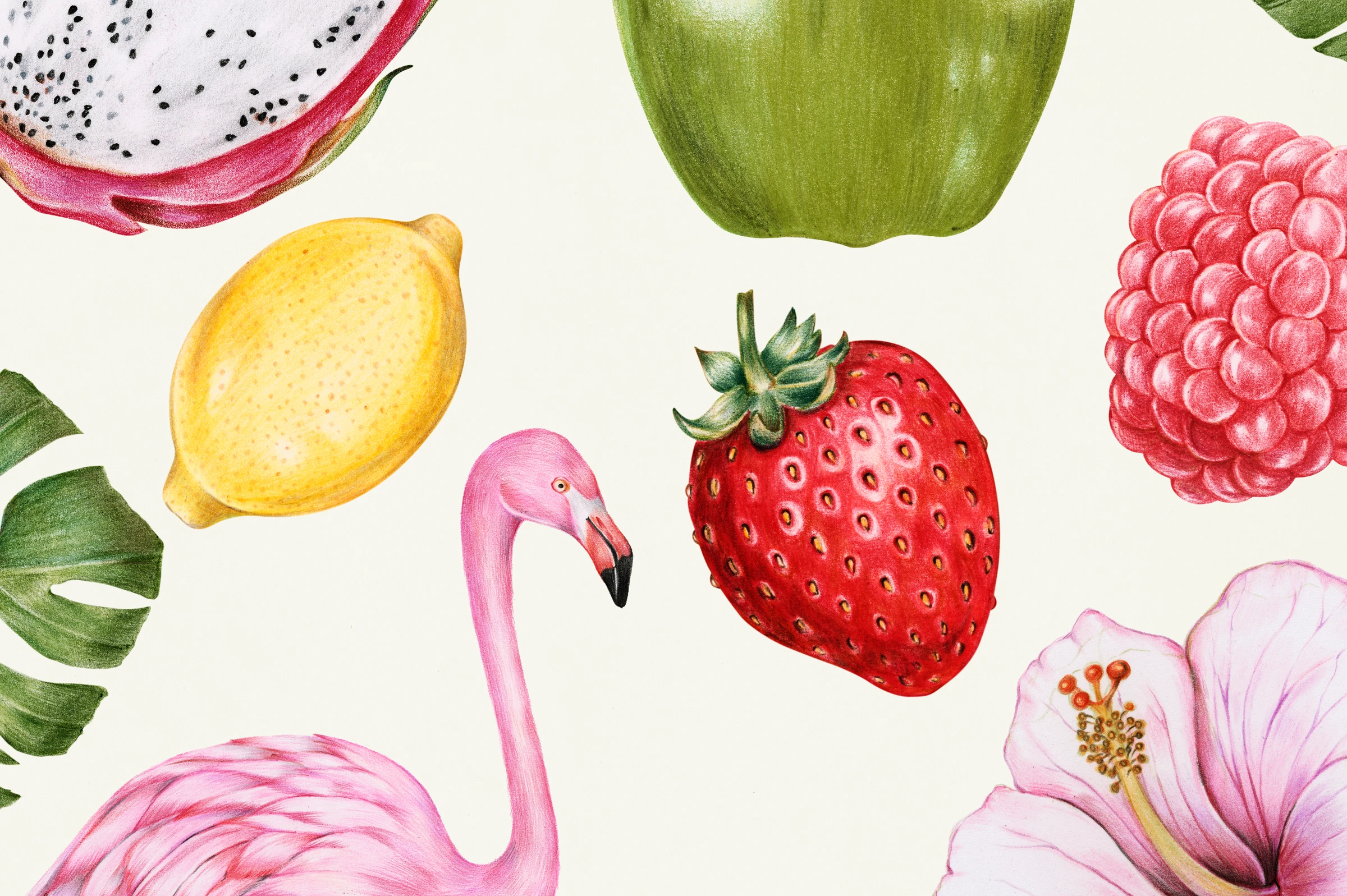 fruits488
