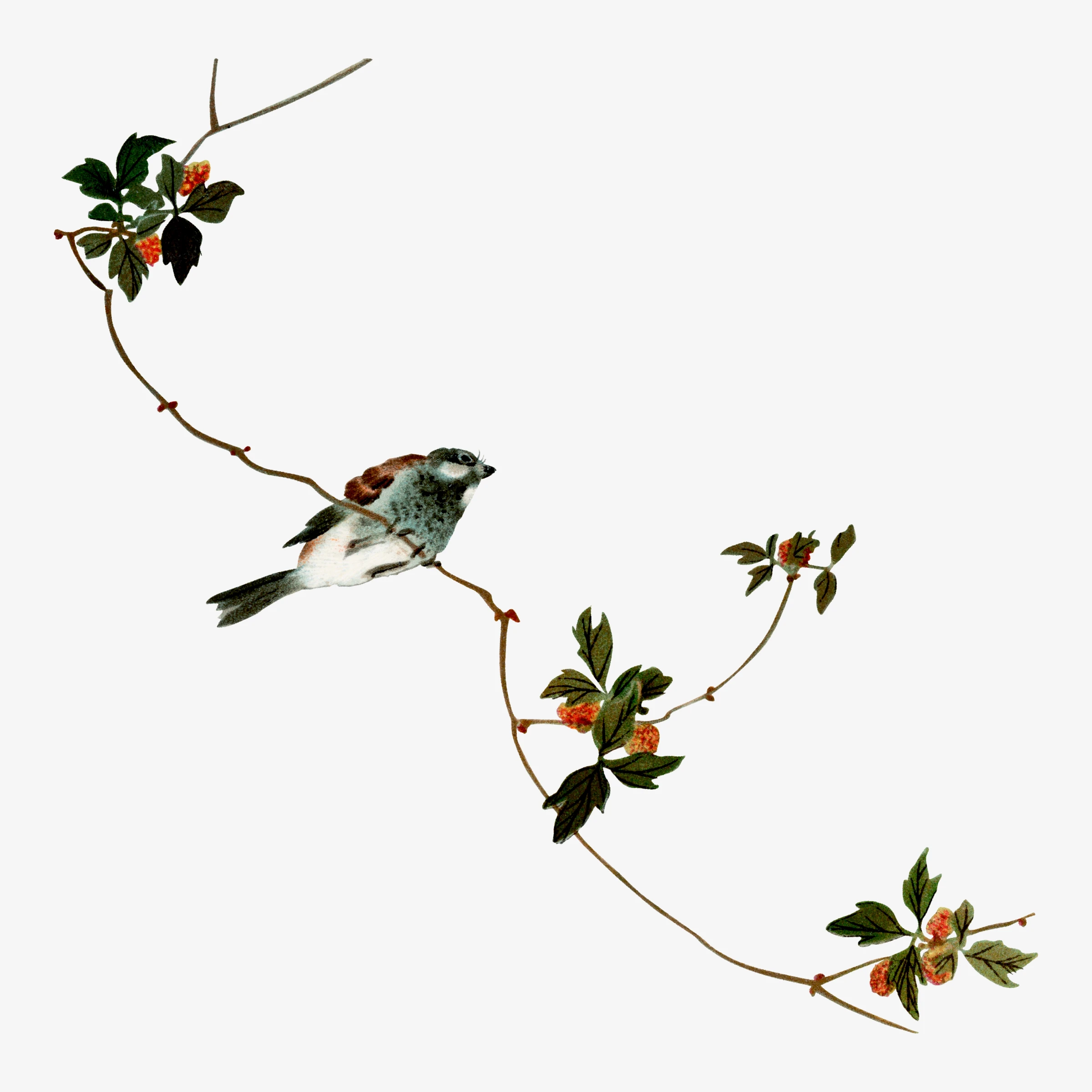 animals (122)