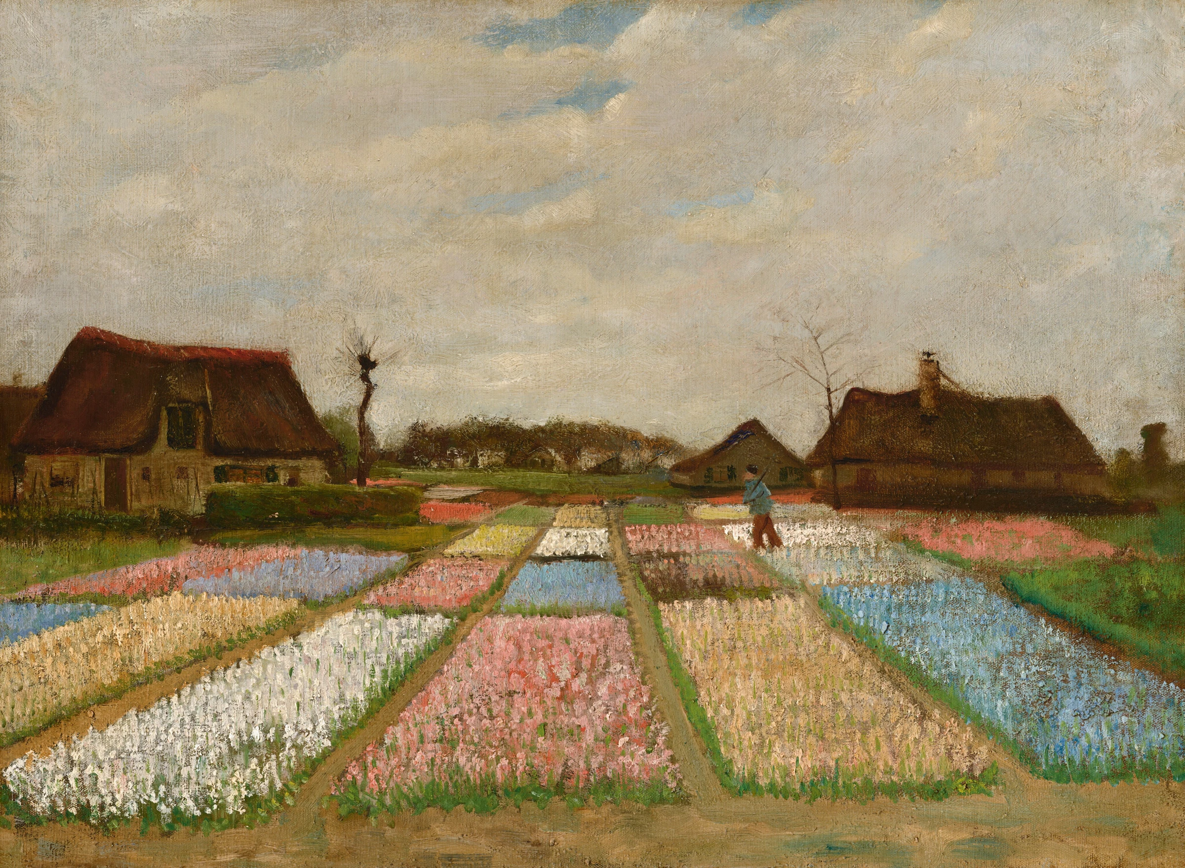Flower Beds In Holland 1983.1.21
