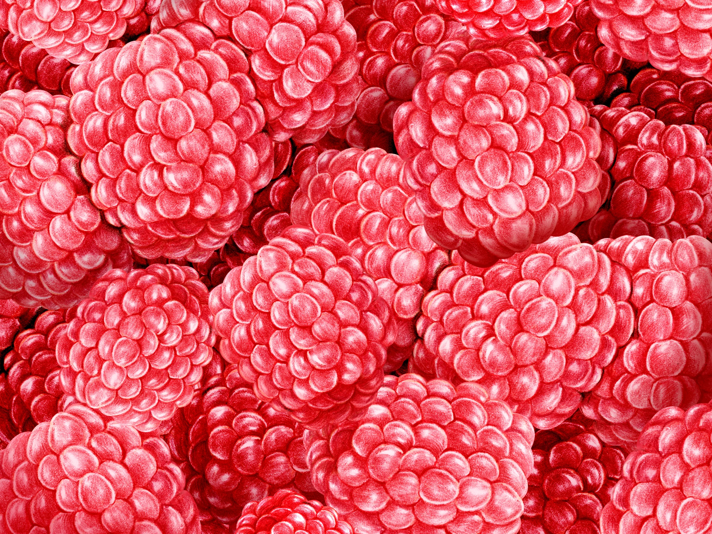 fruitss (186)