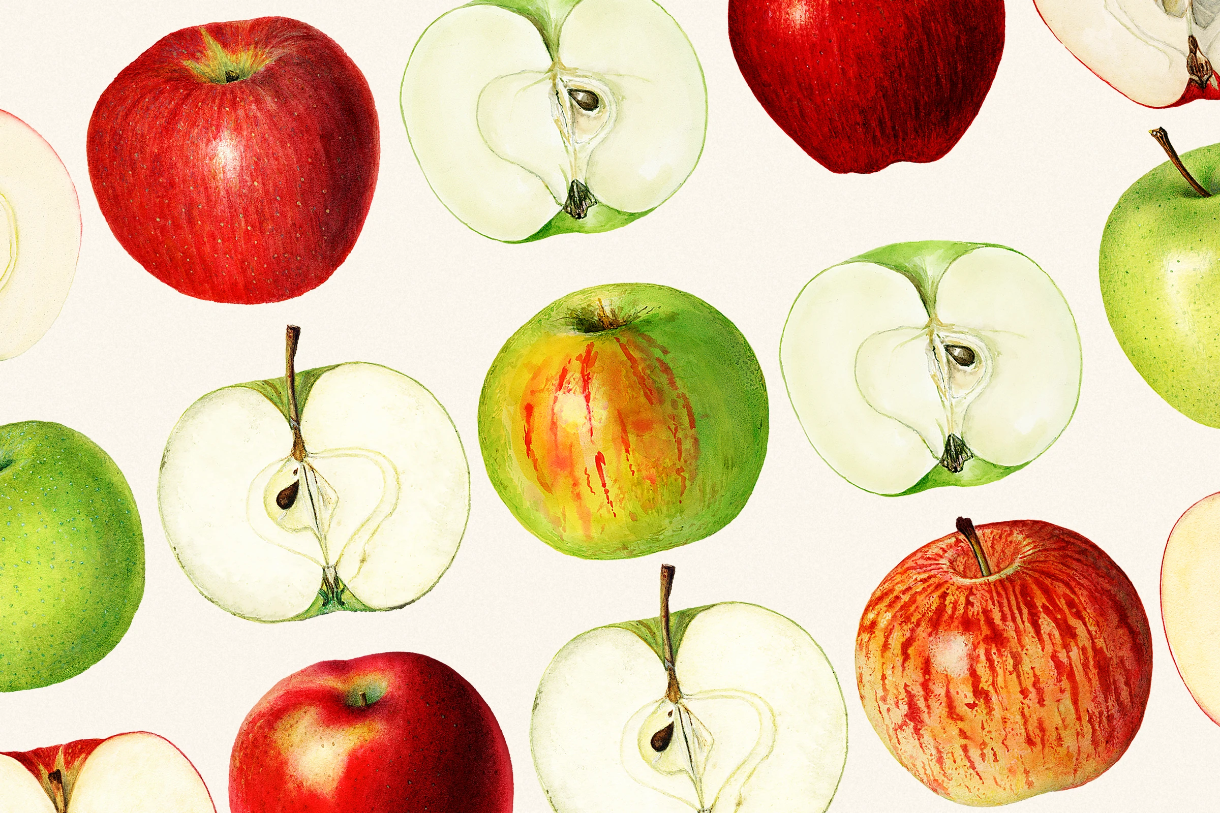 fruits511
