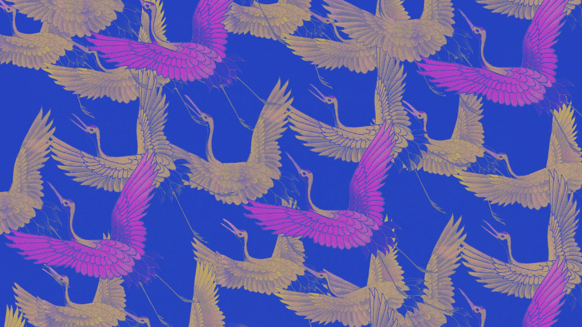 animals (85)