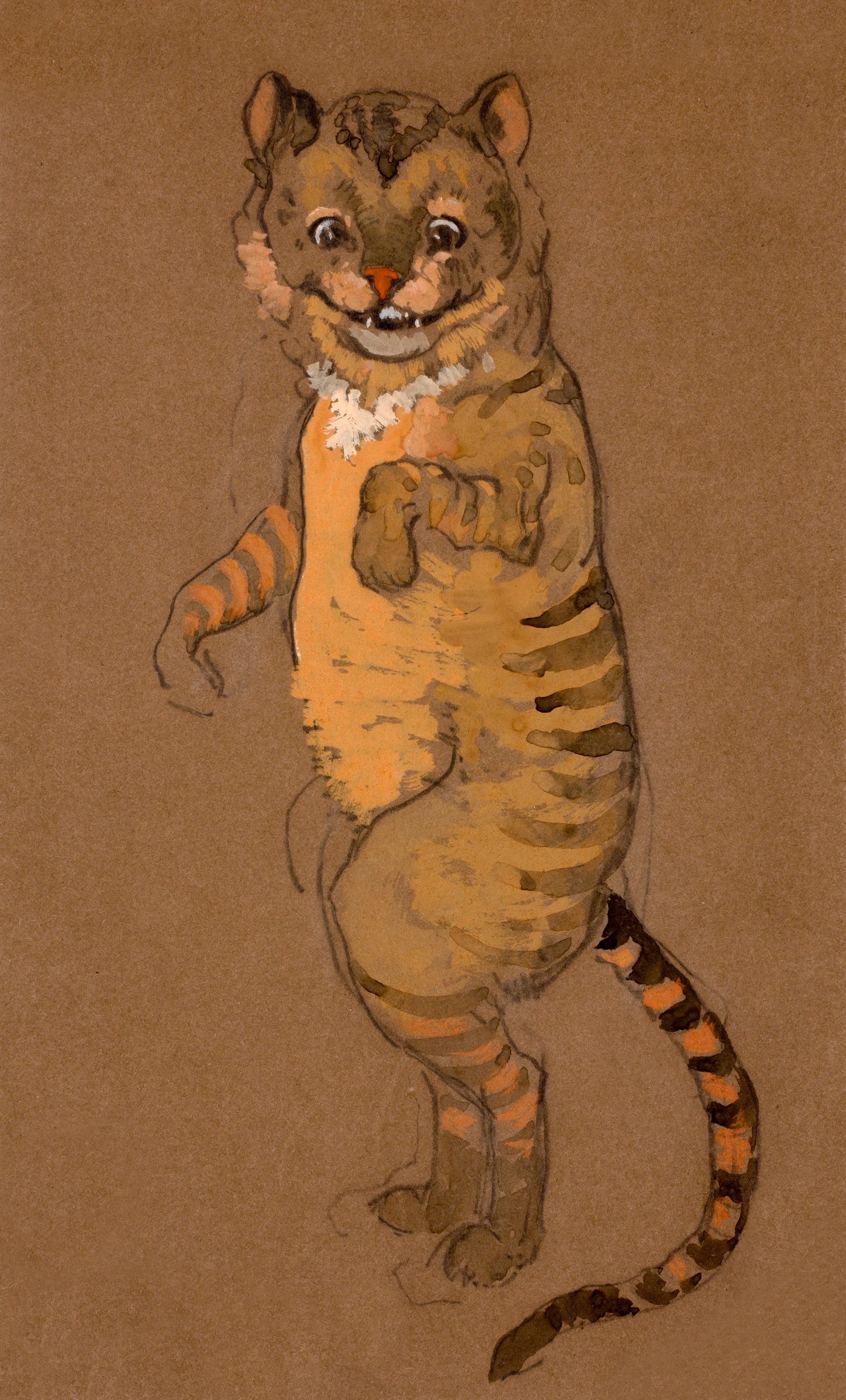 animals (20)