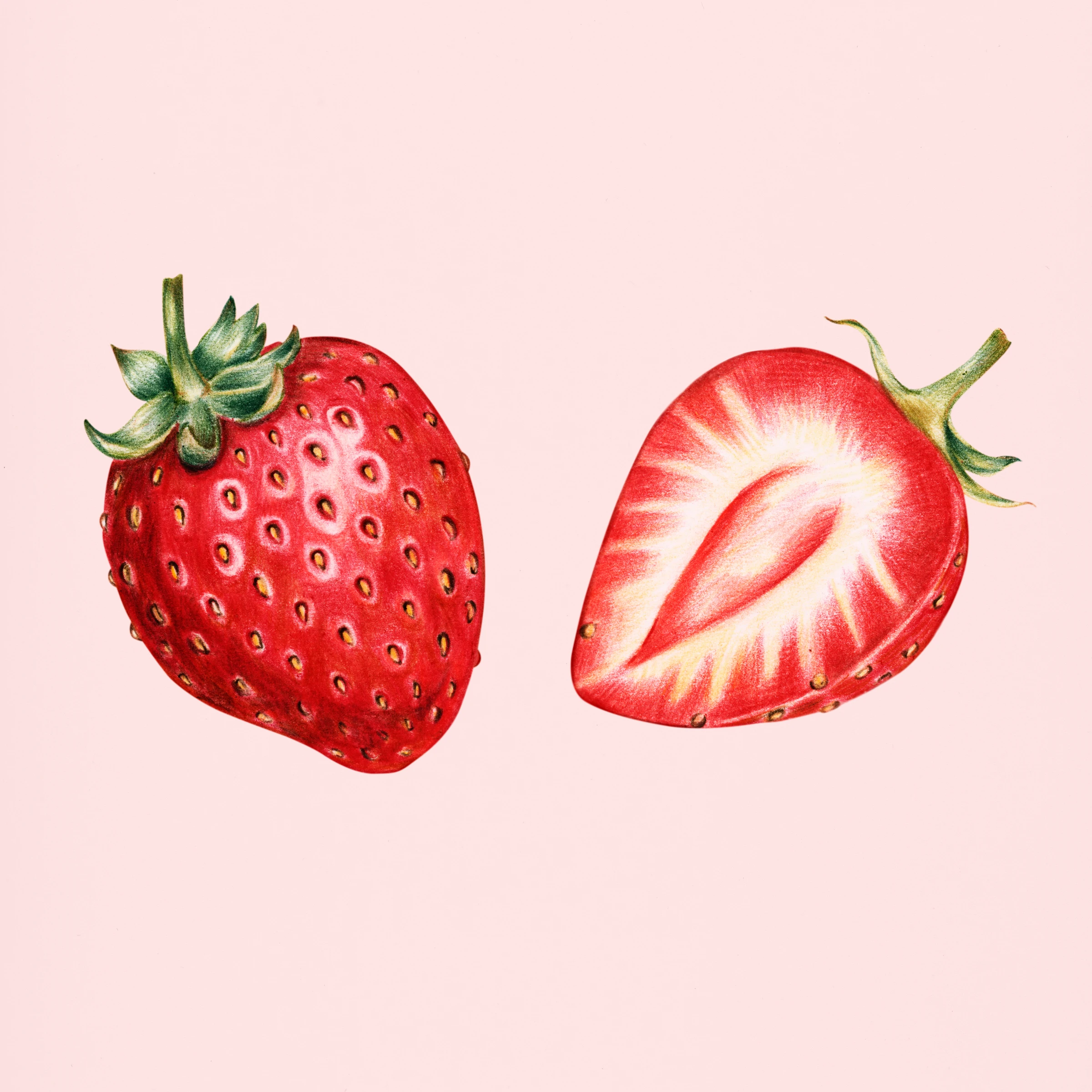 fruitss (192)