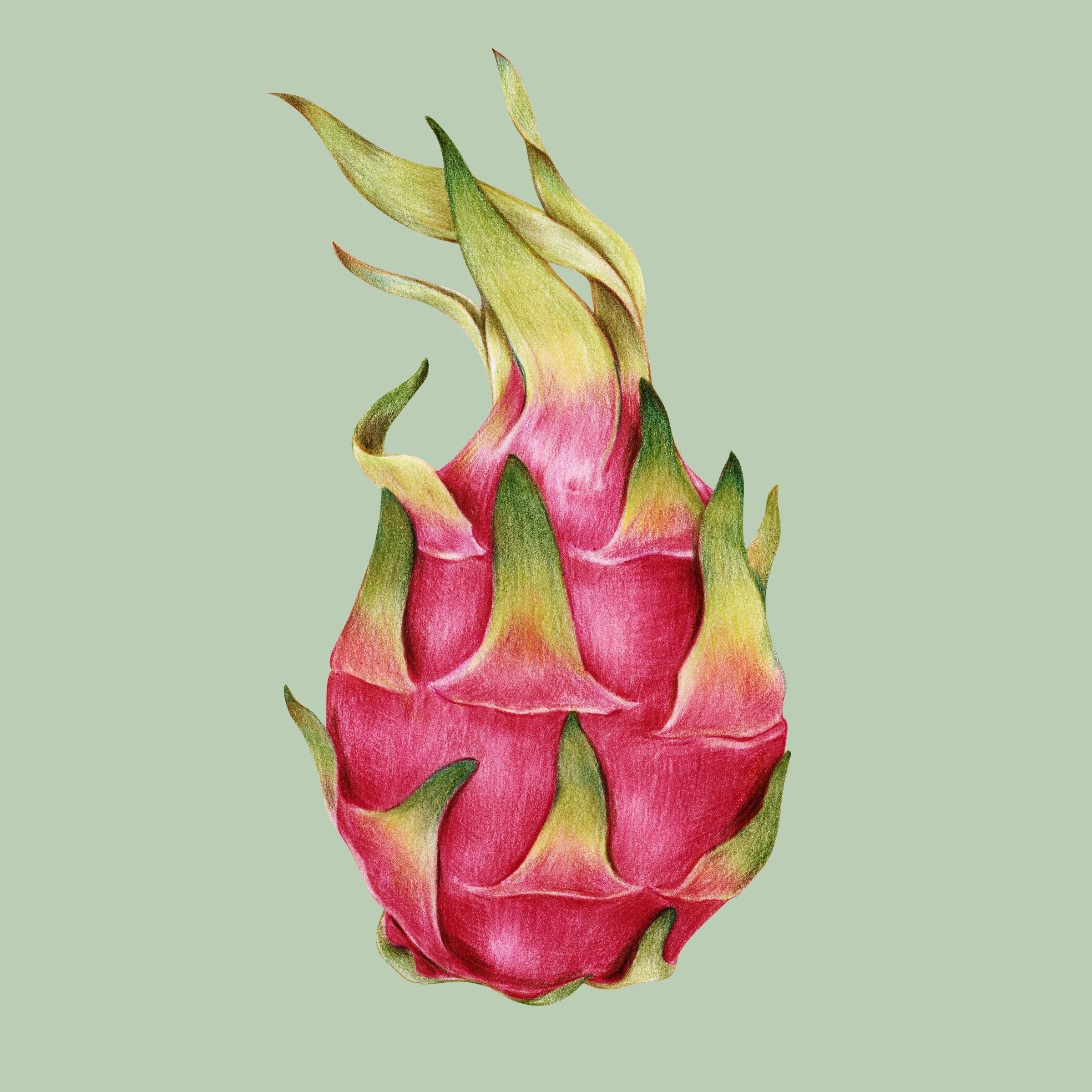 fruitss (195)