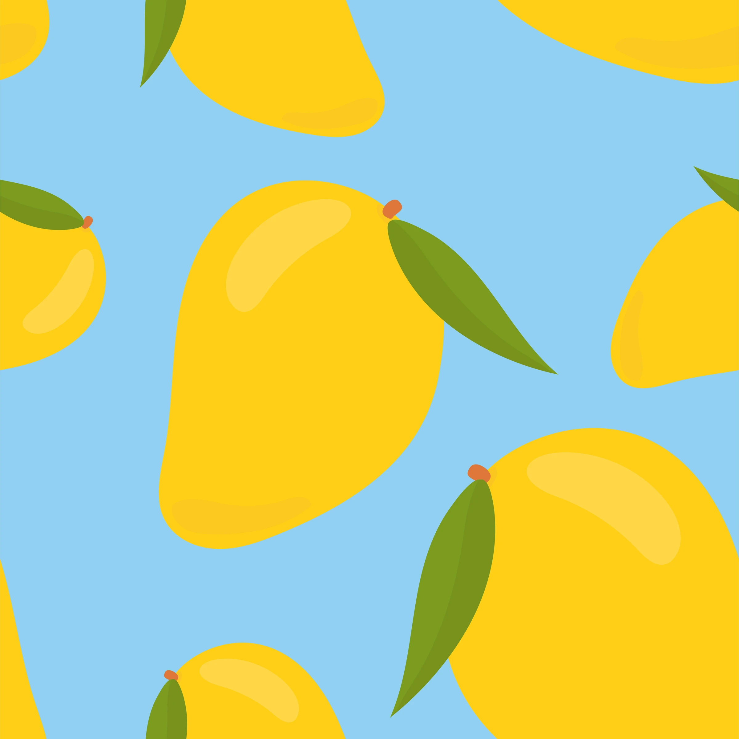 fruits504