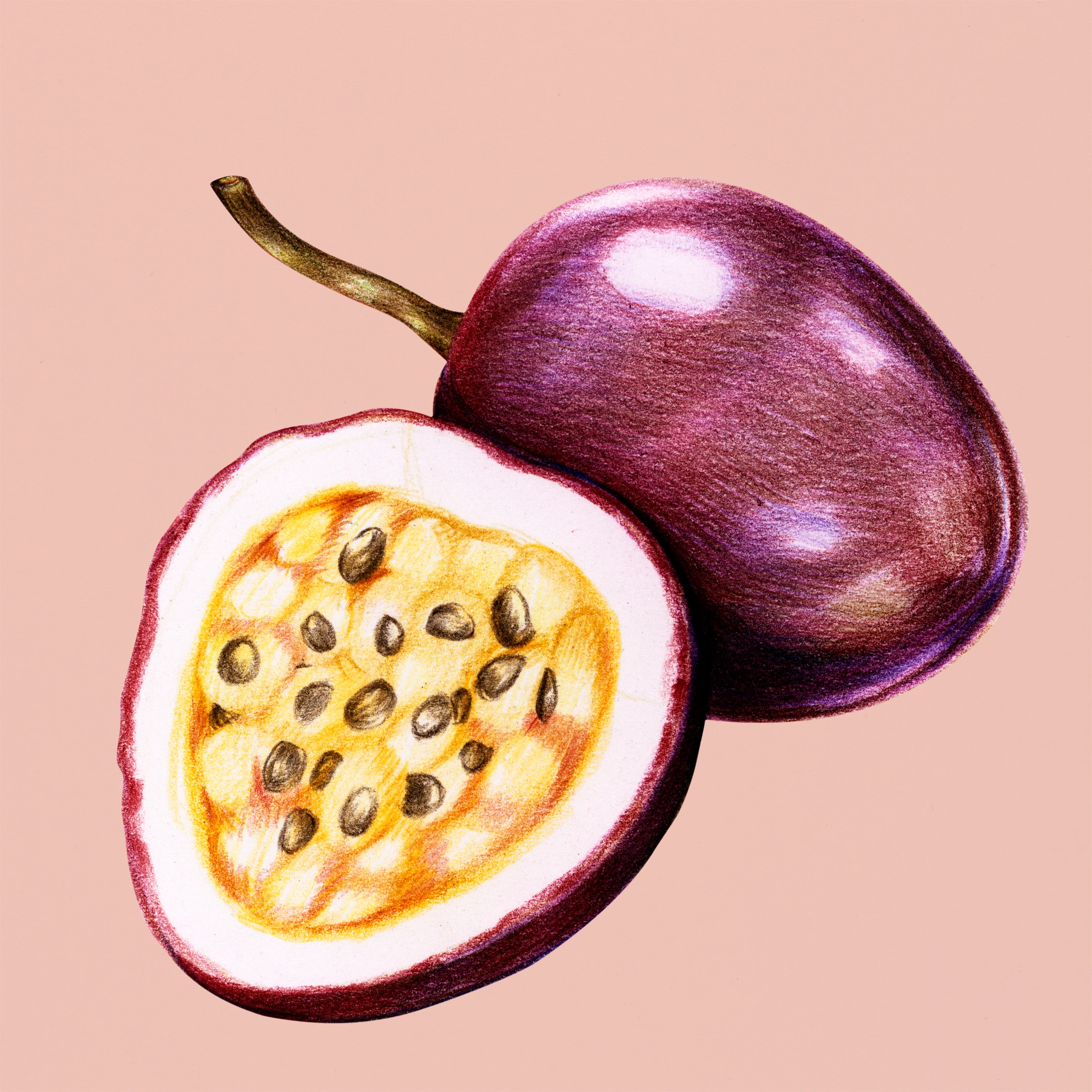 fruitss (210)