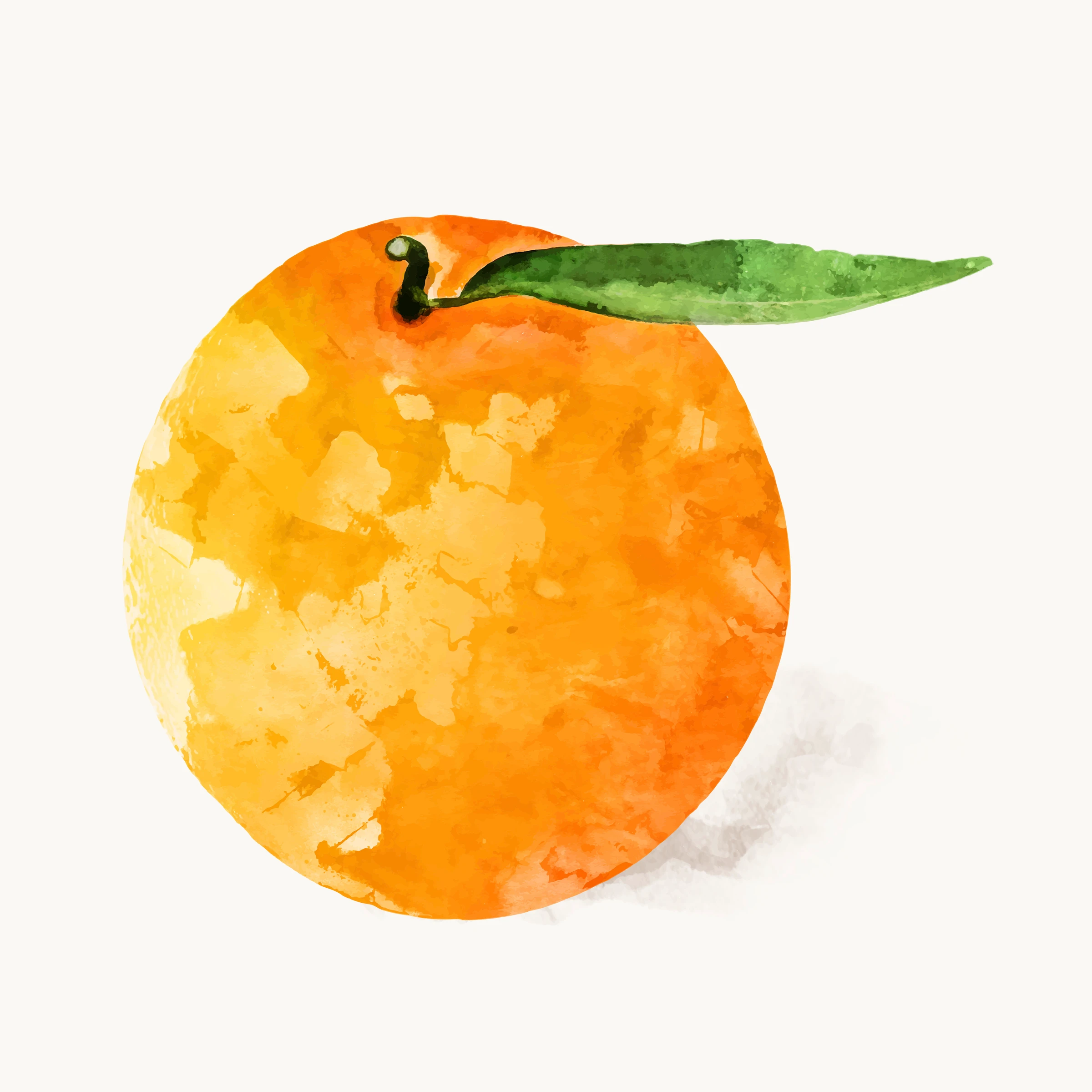 fruitss (115)