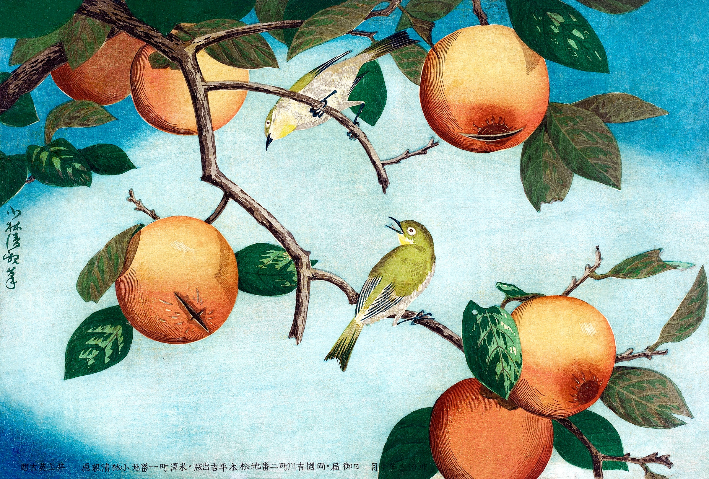 fruitss (157)