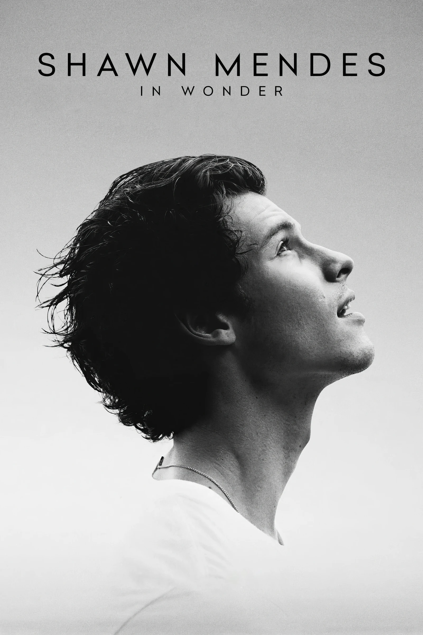 Shawn Mendes In Wonder (2020)