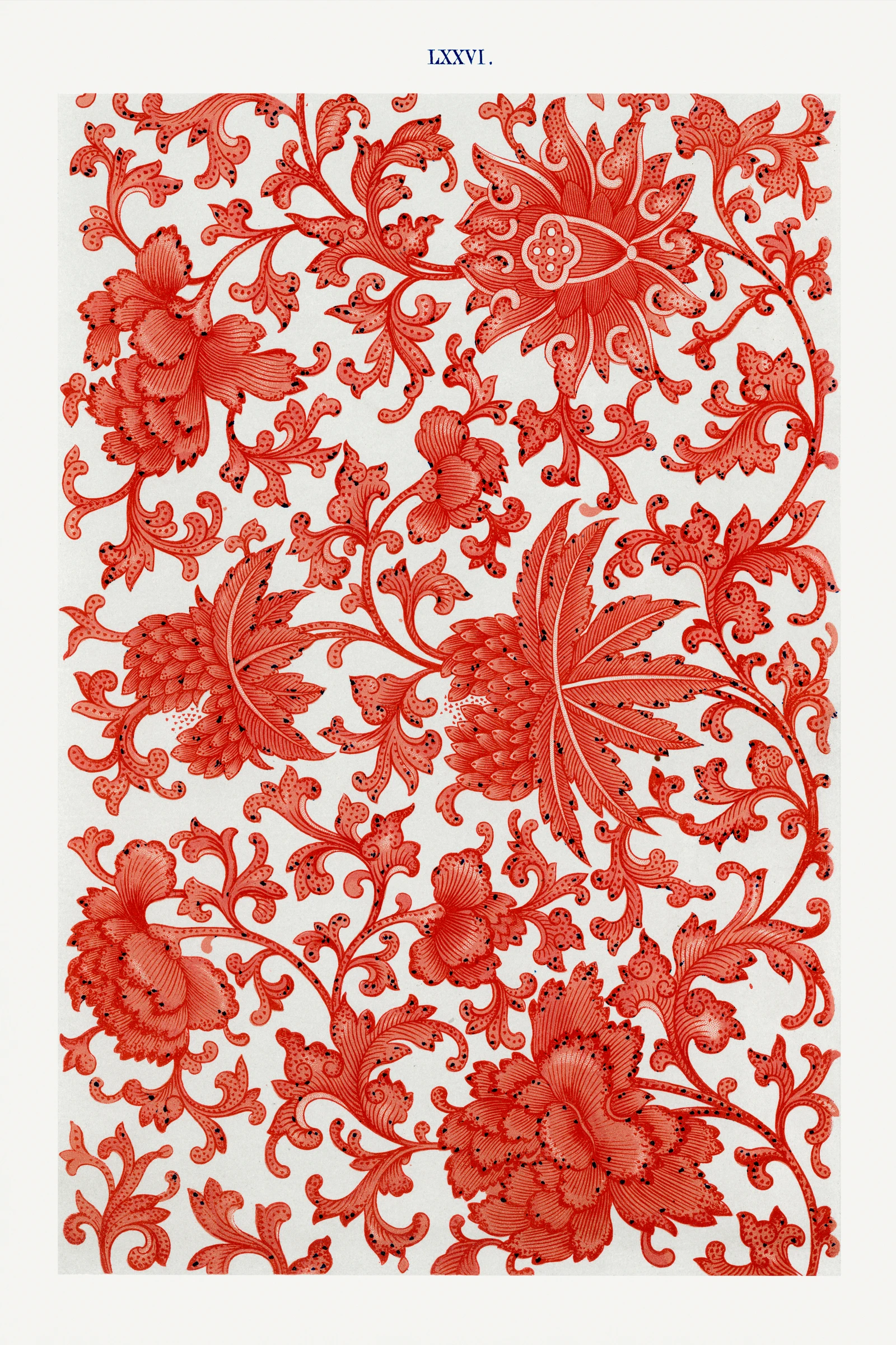 Trendy Prints (367)