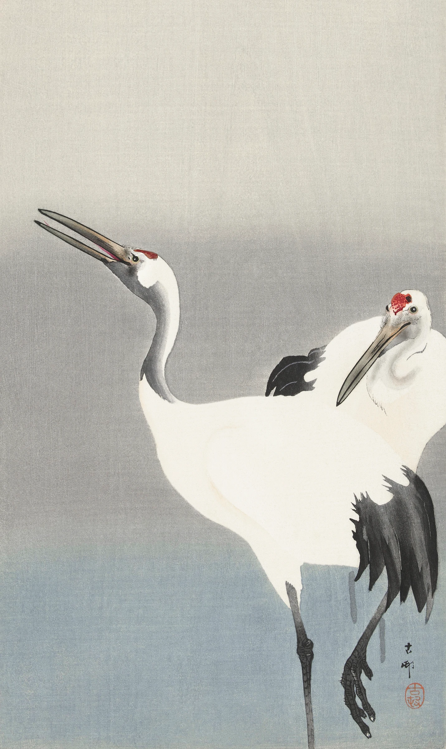 animals (192)