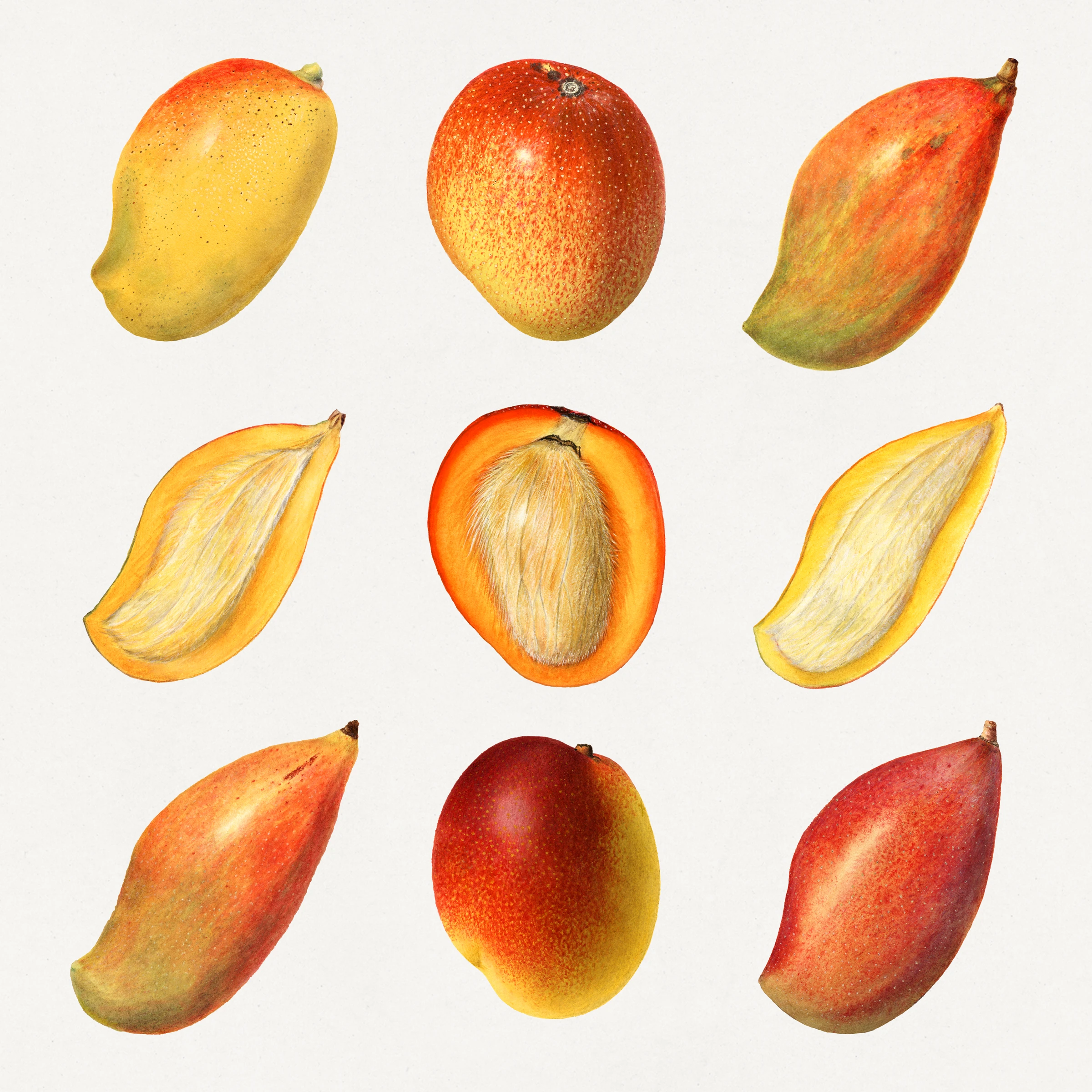 fruits514