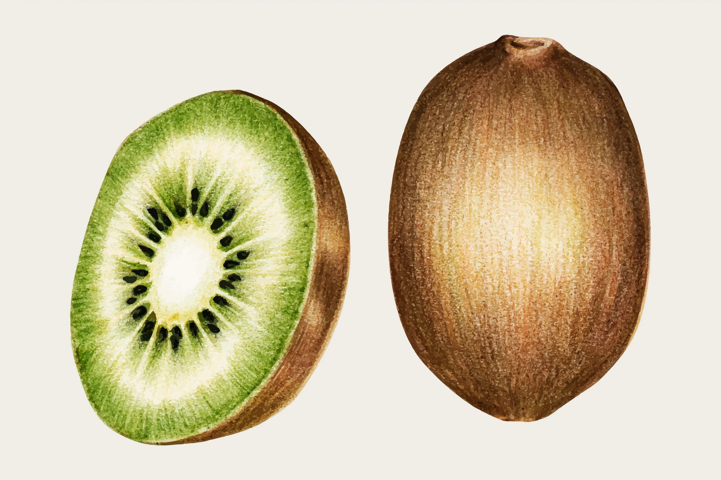 fruits475