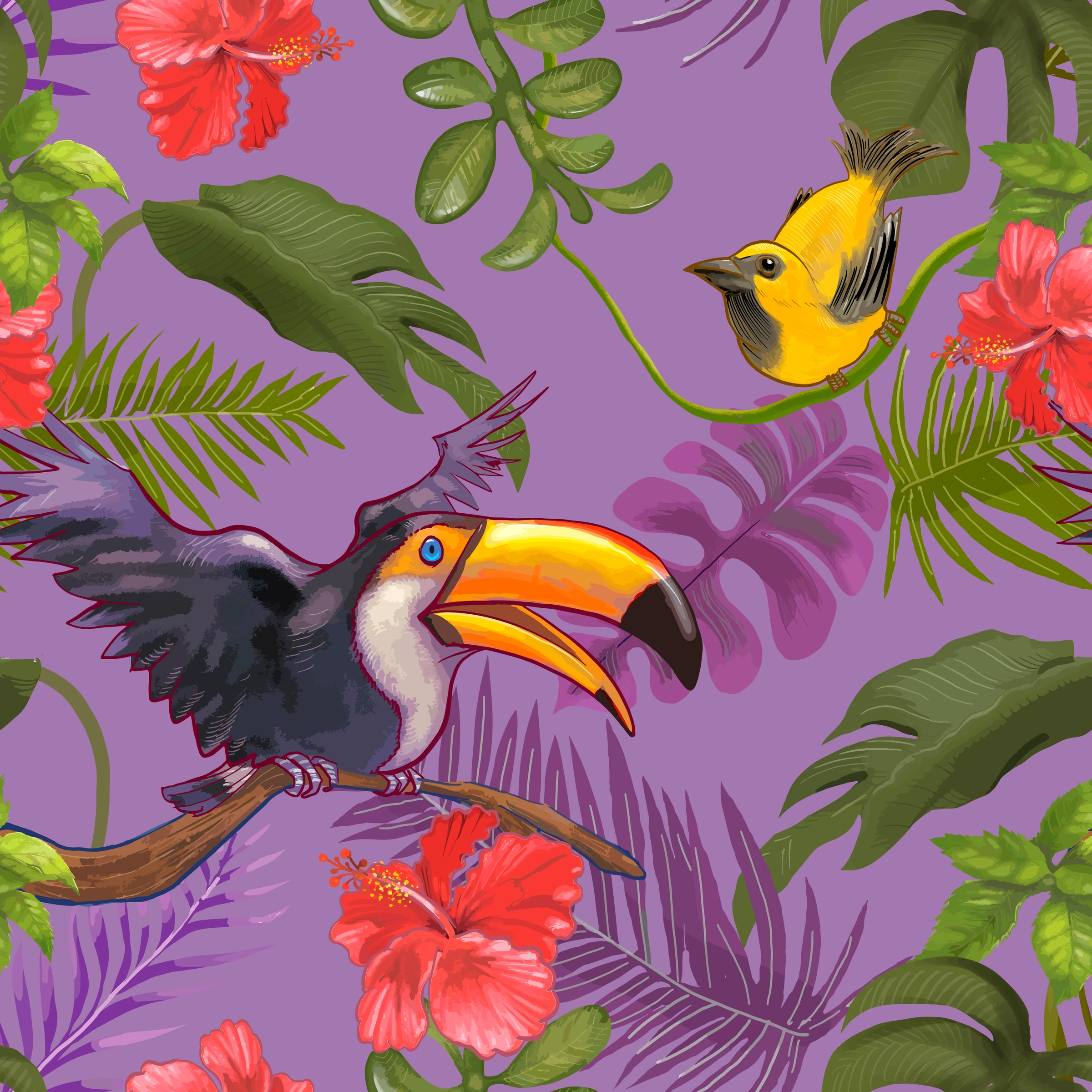 aanimals26