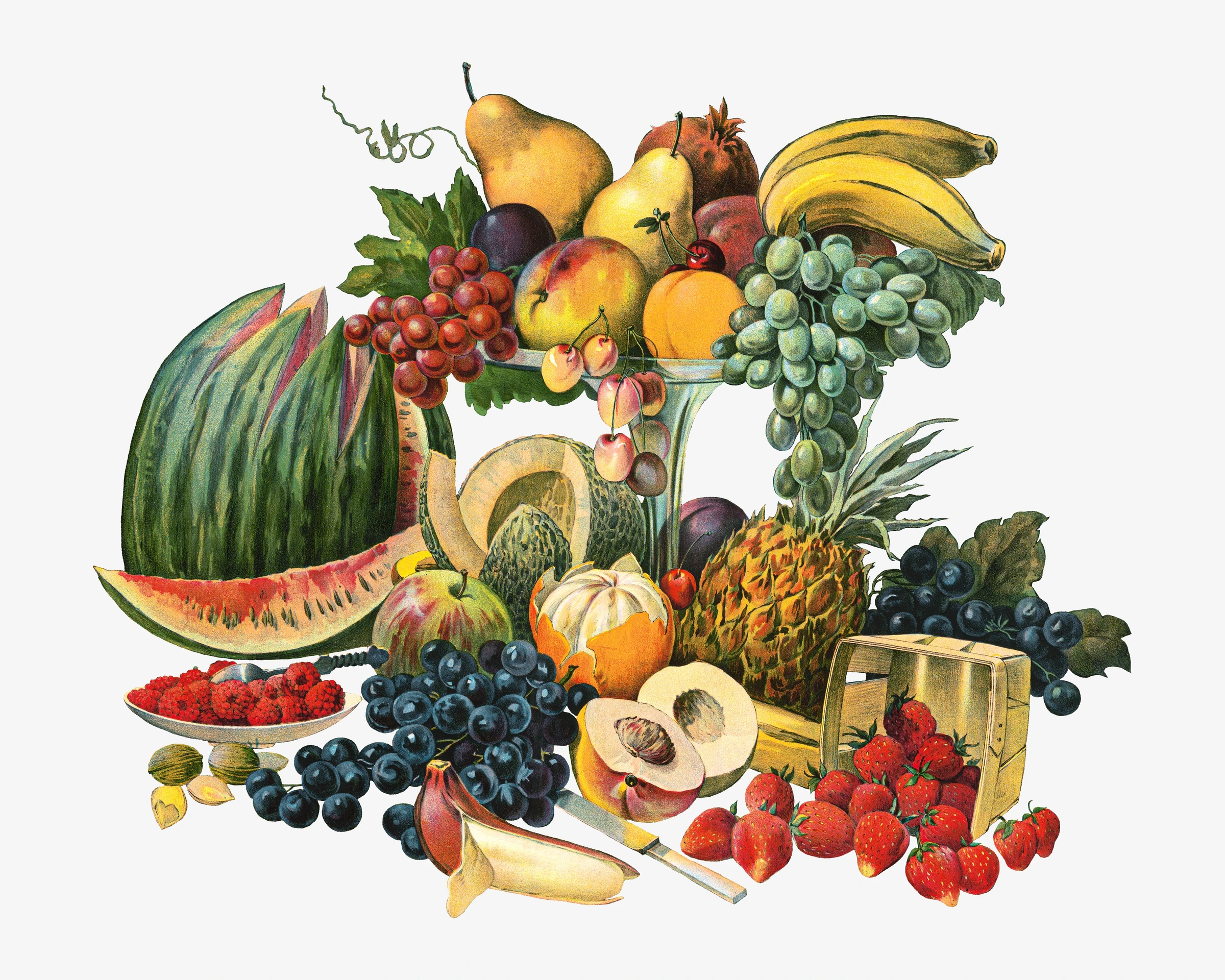 fruitss (173)