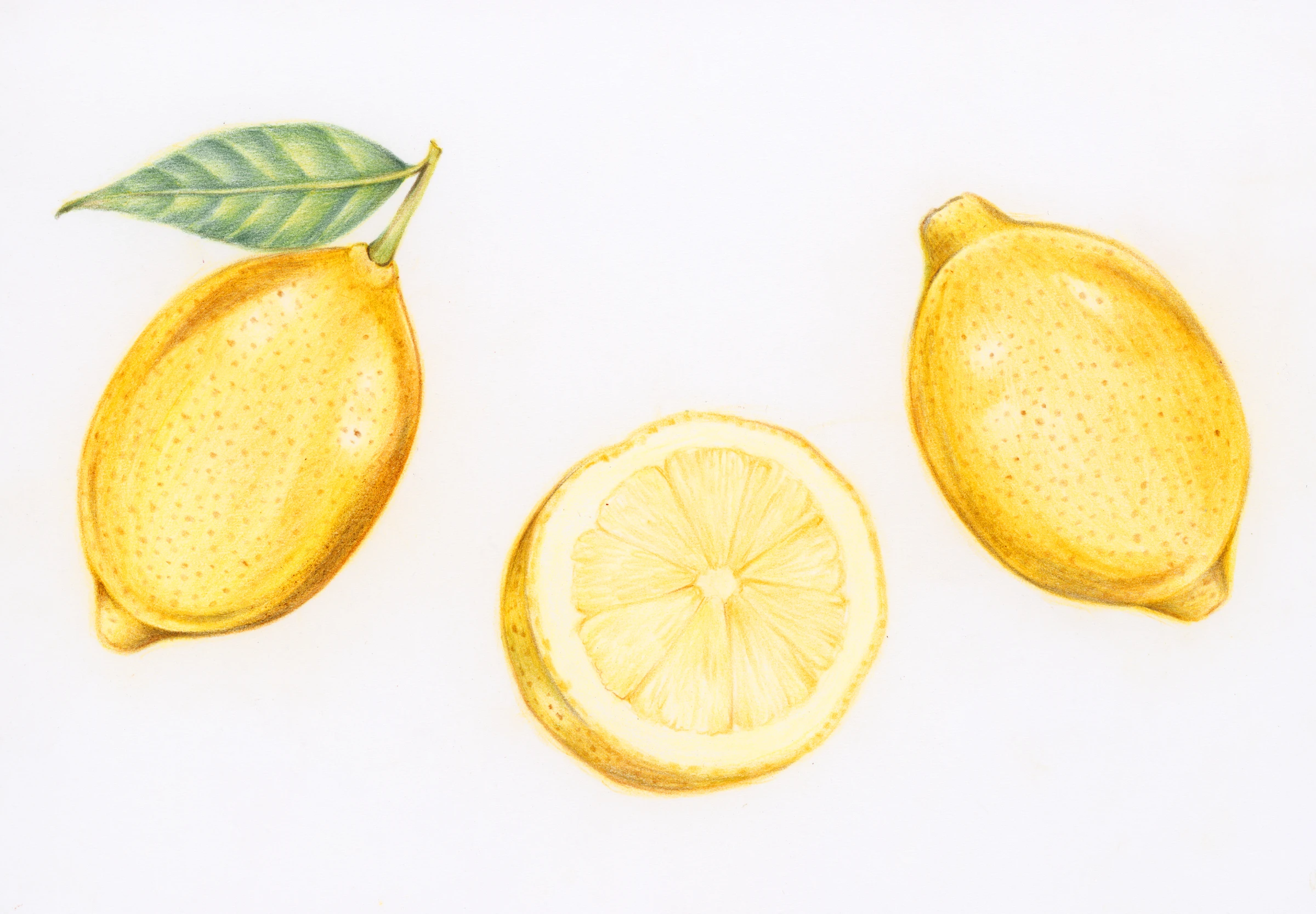 fruitss (191)