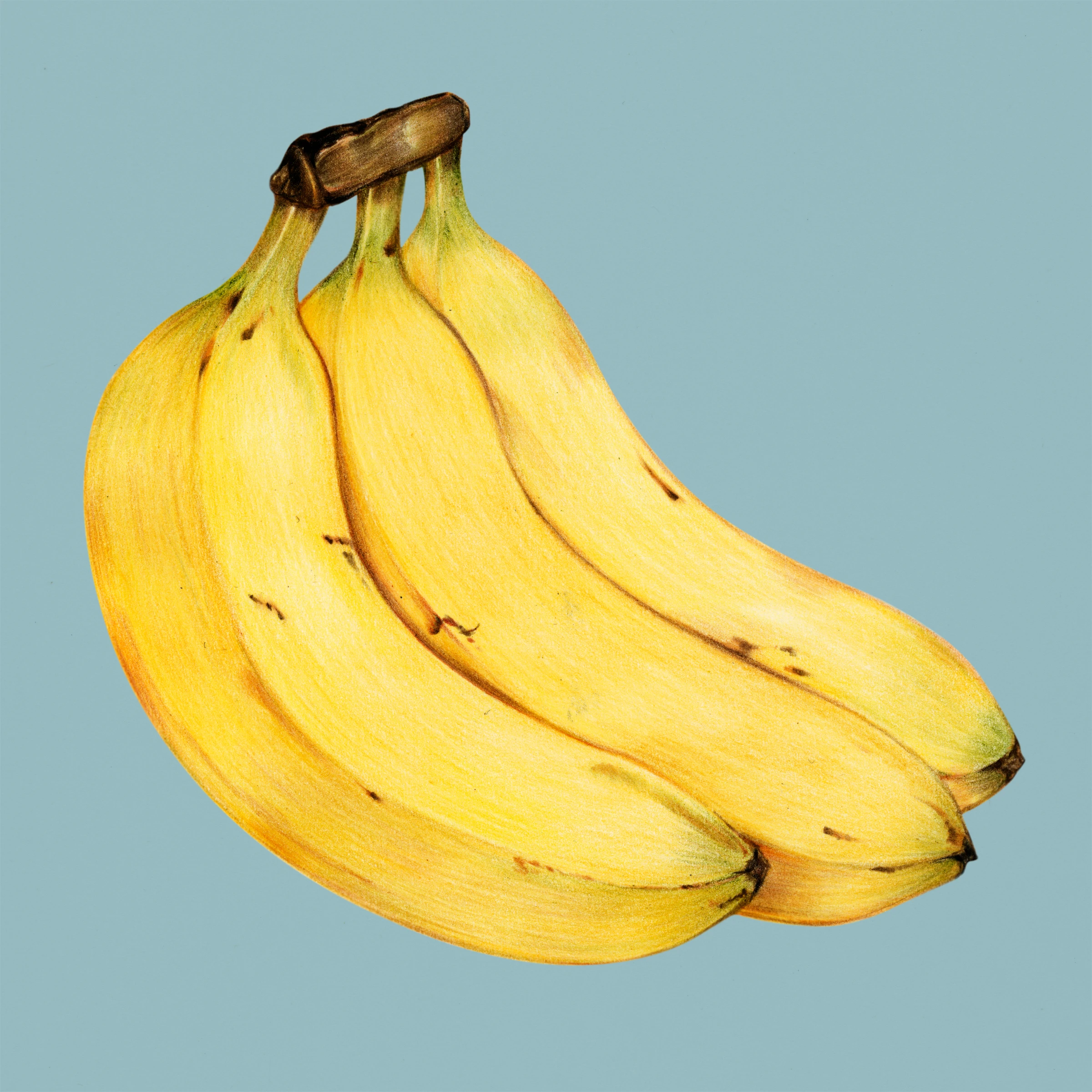 fruitss (201)