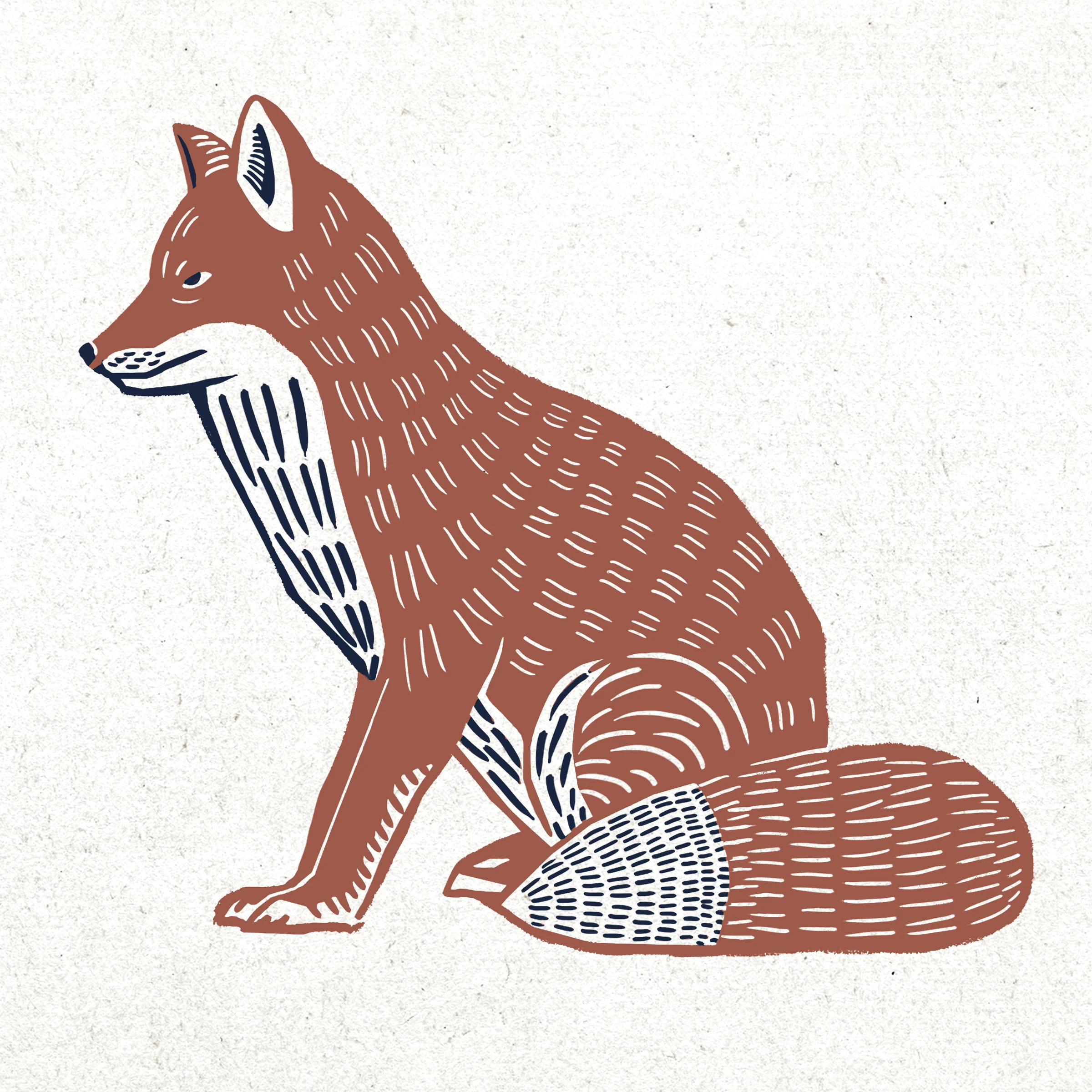 animals (2)