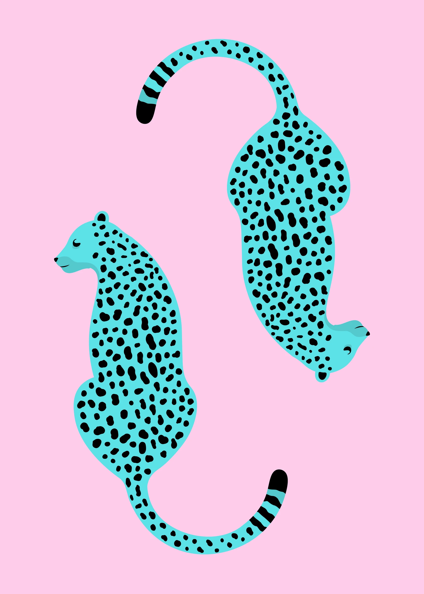 Trendy Prints (669)