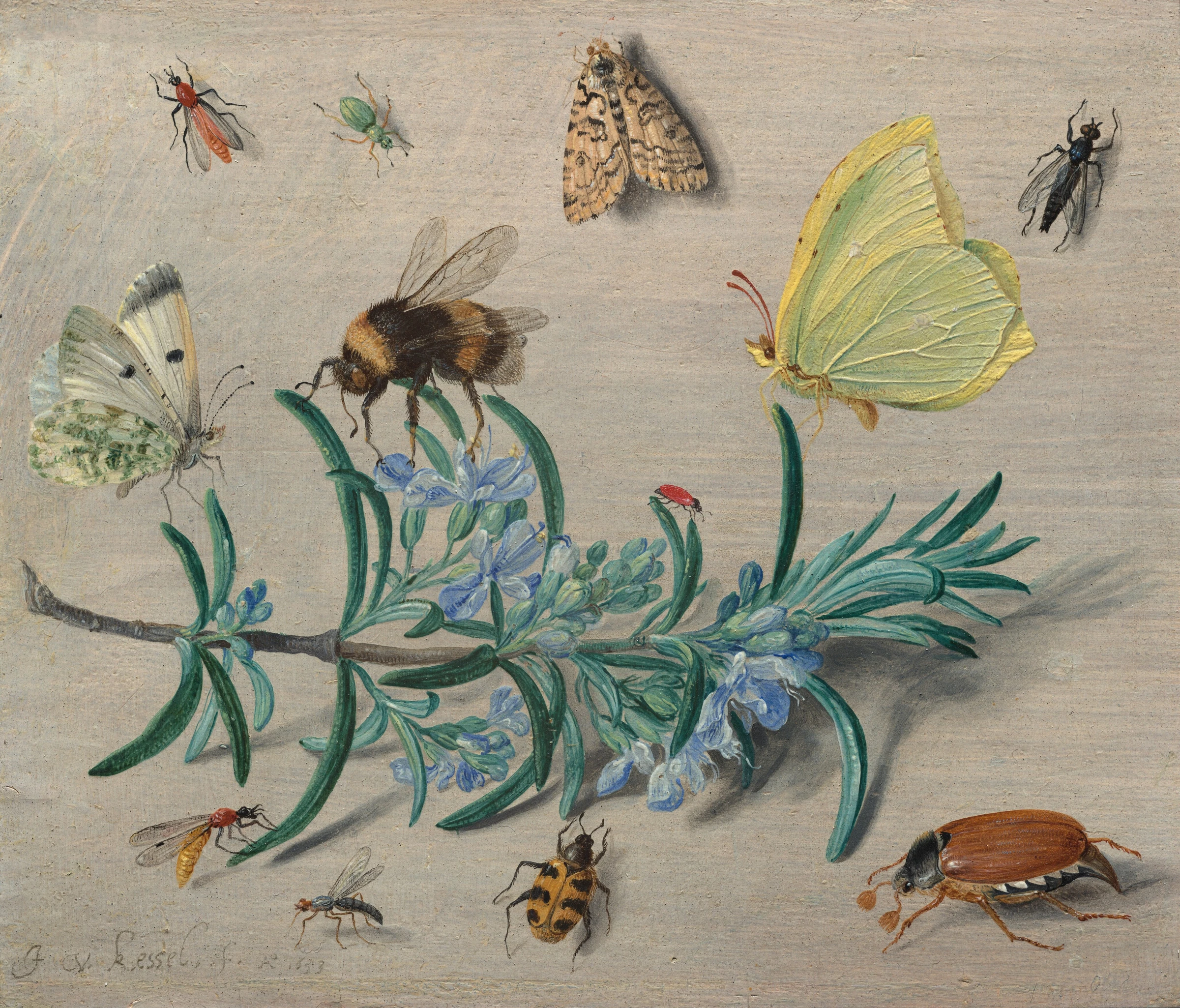 Insects And A Sprig Of Rosemary 2018.41.1