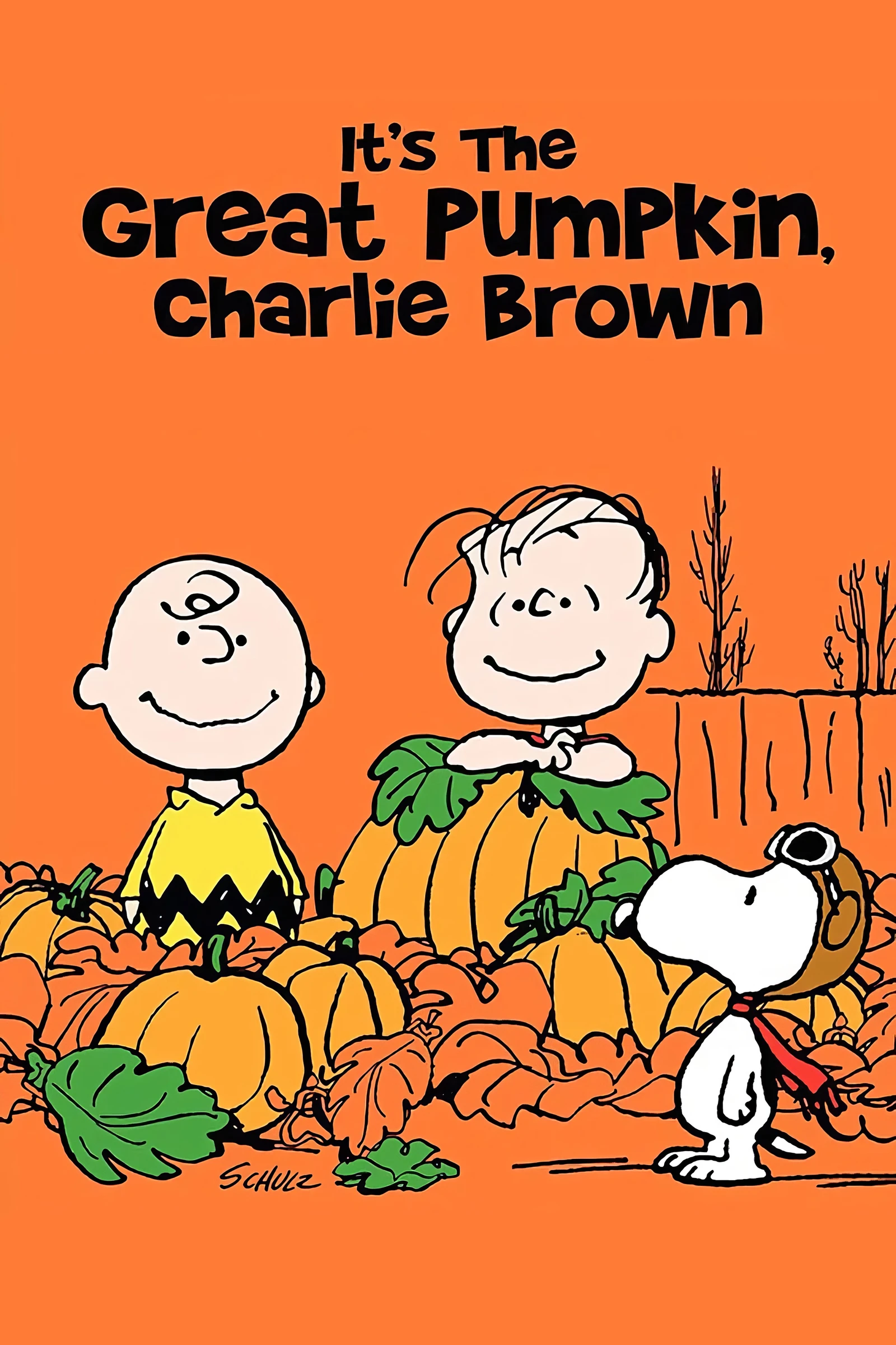 It s the Great Pumpkin, Charlie Brown (1966)
