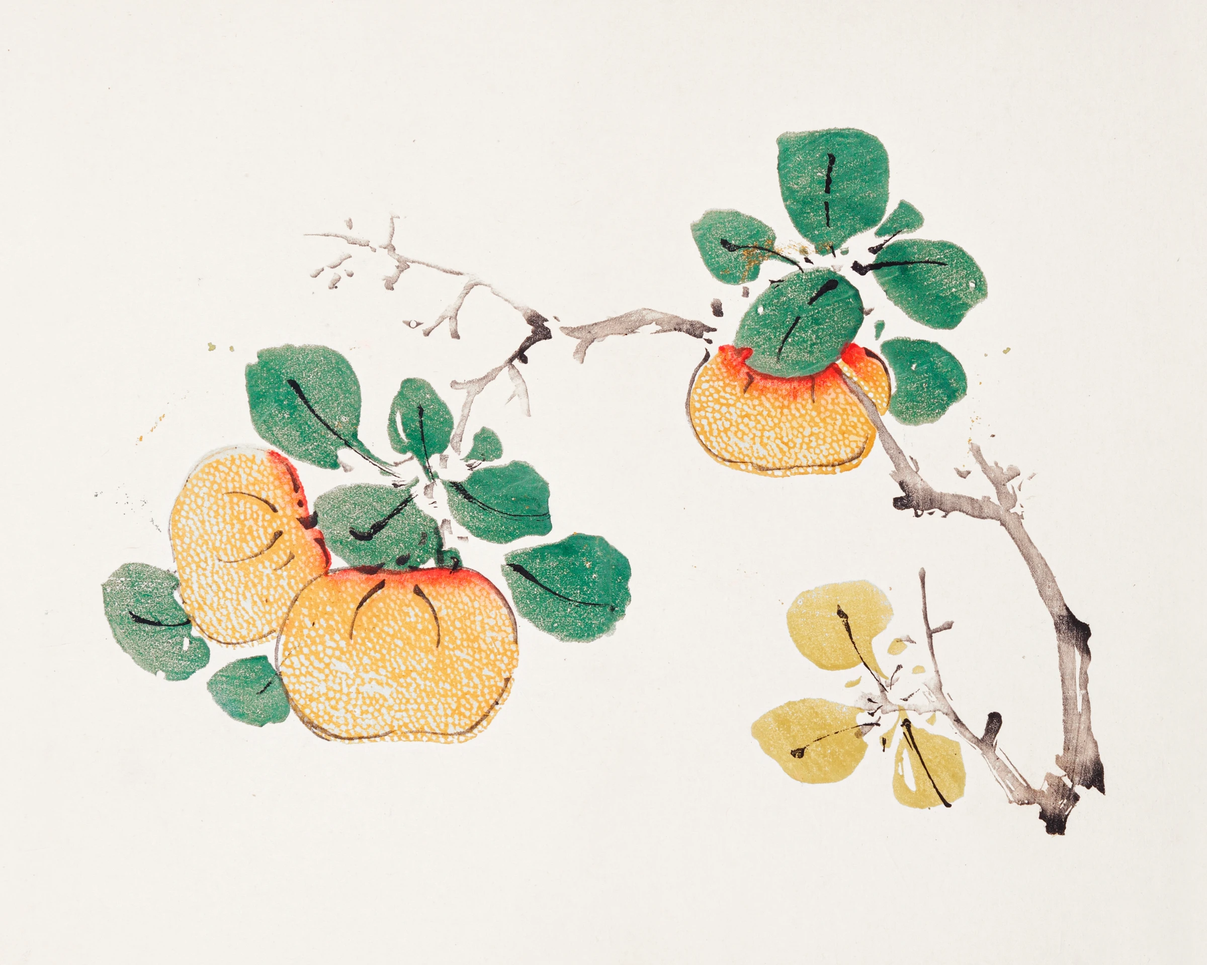 fruitss (23)