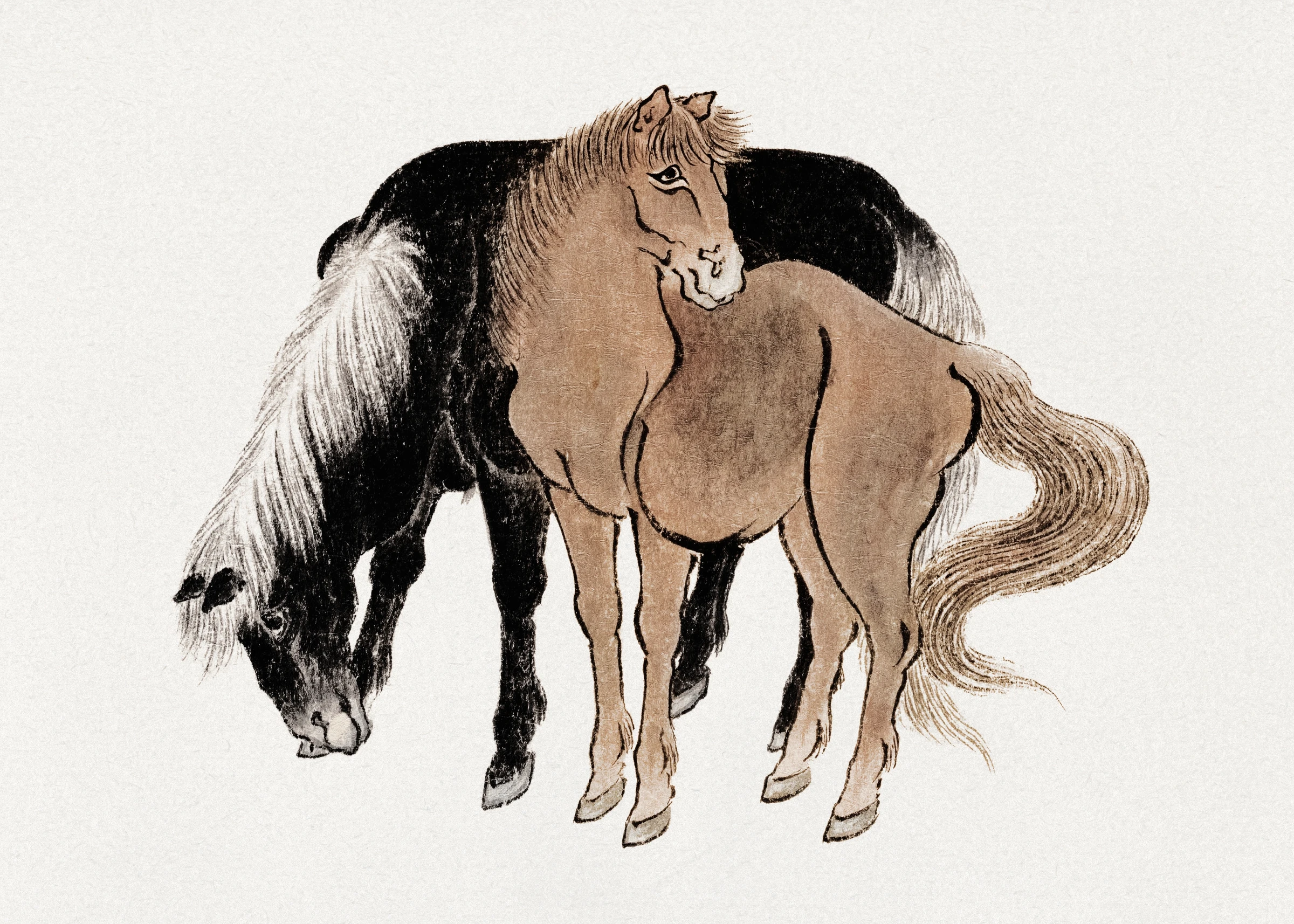 animals (67)