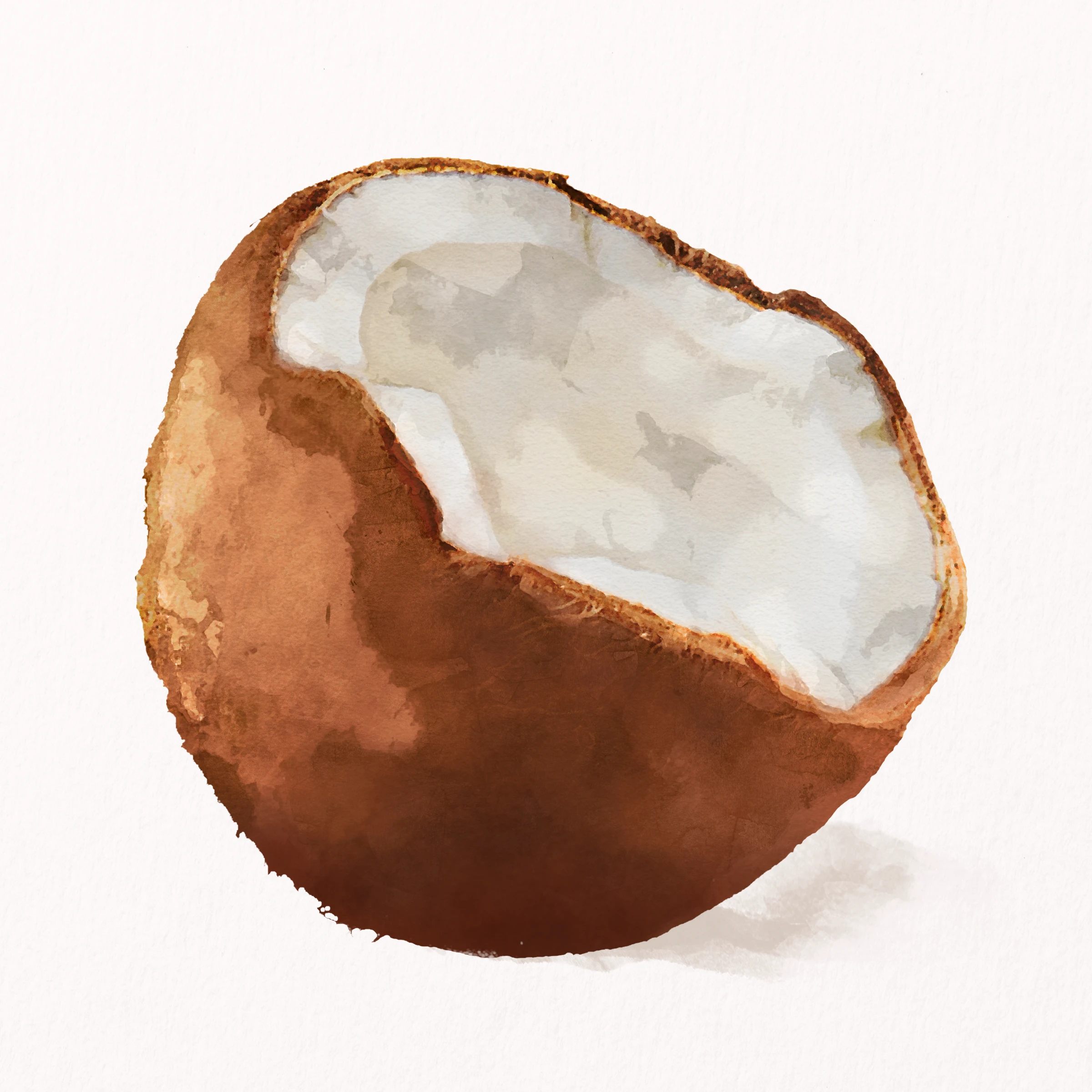 fruitss (113)