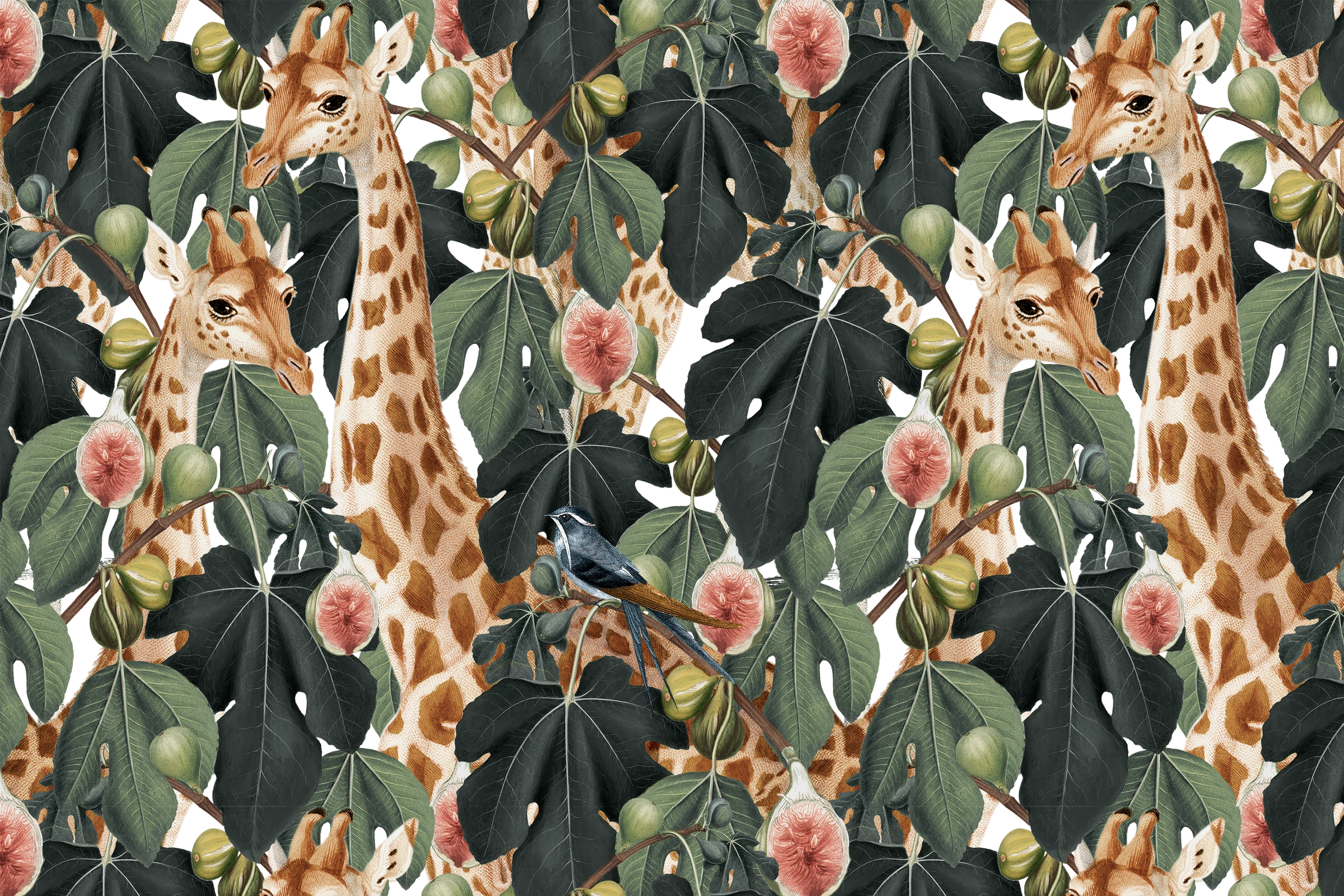 aanimals85