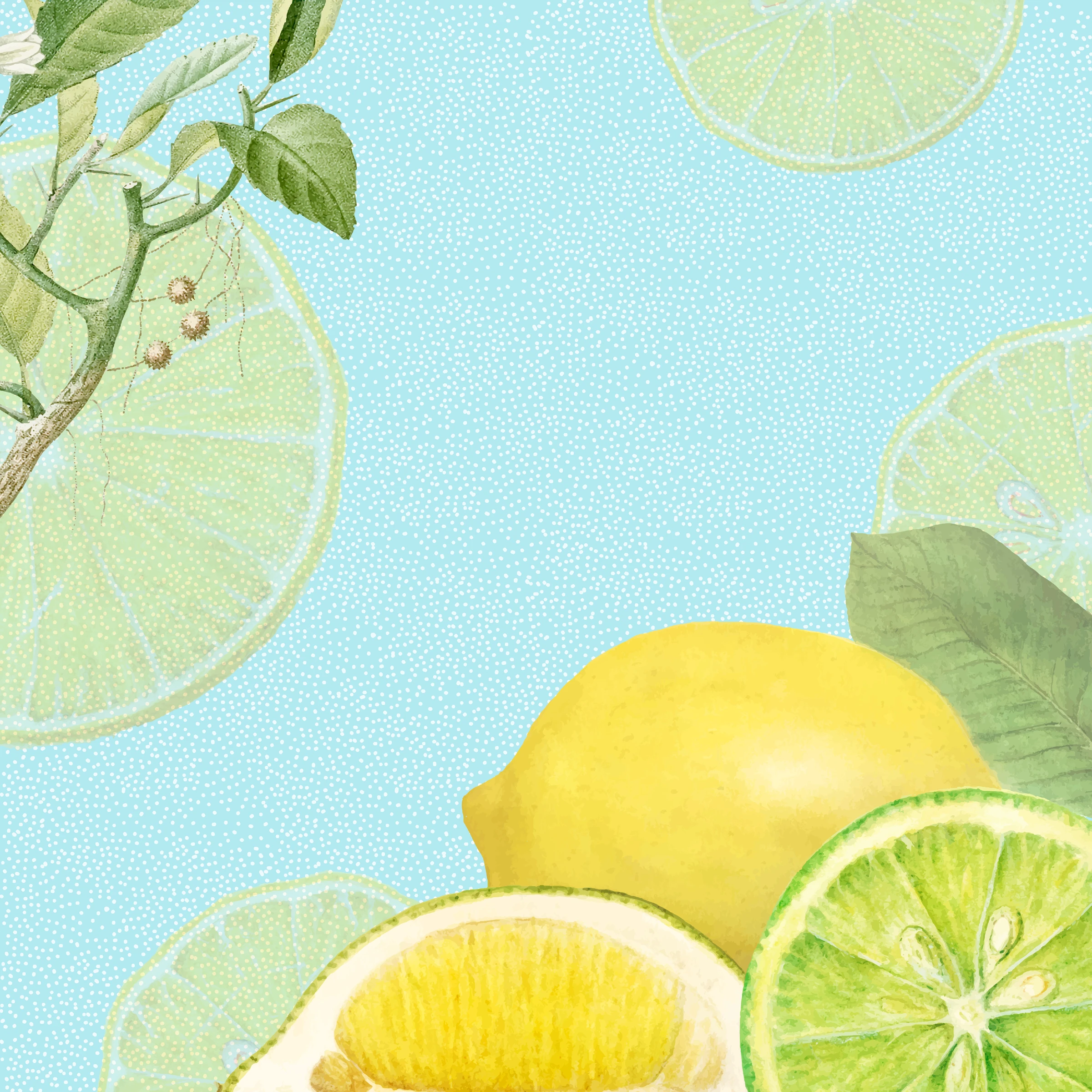 fruits508